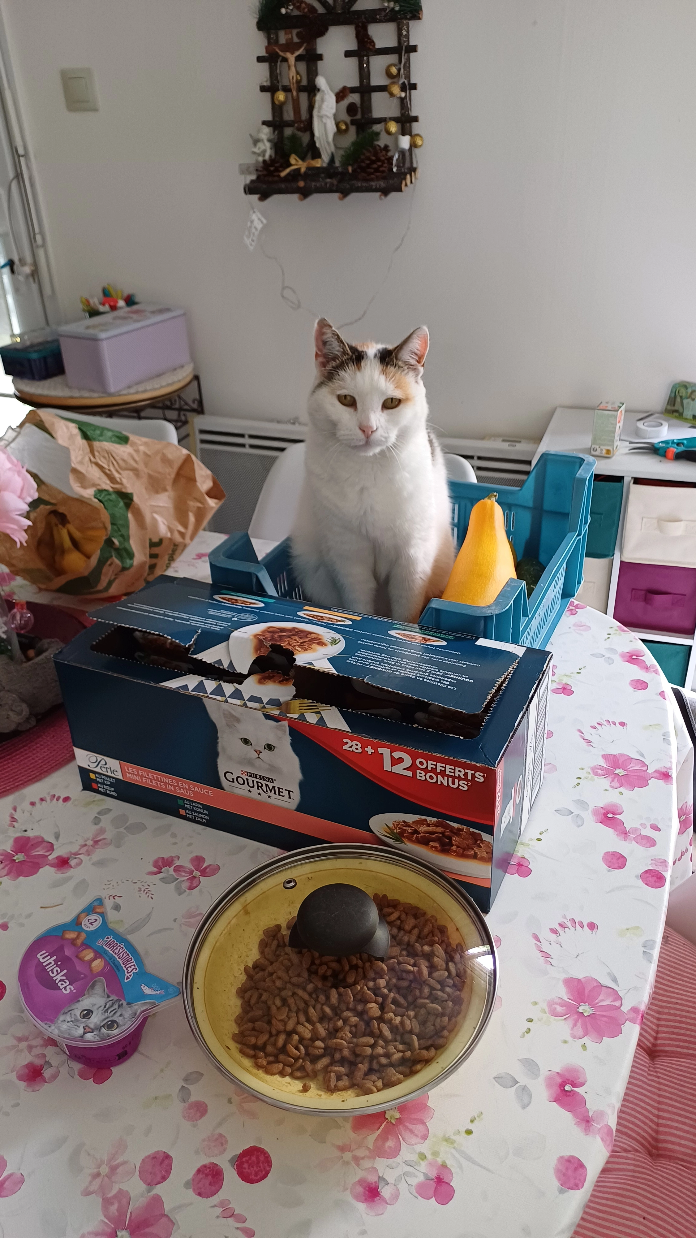 Minette  - 49 Rue du Civet, Jargeau