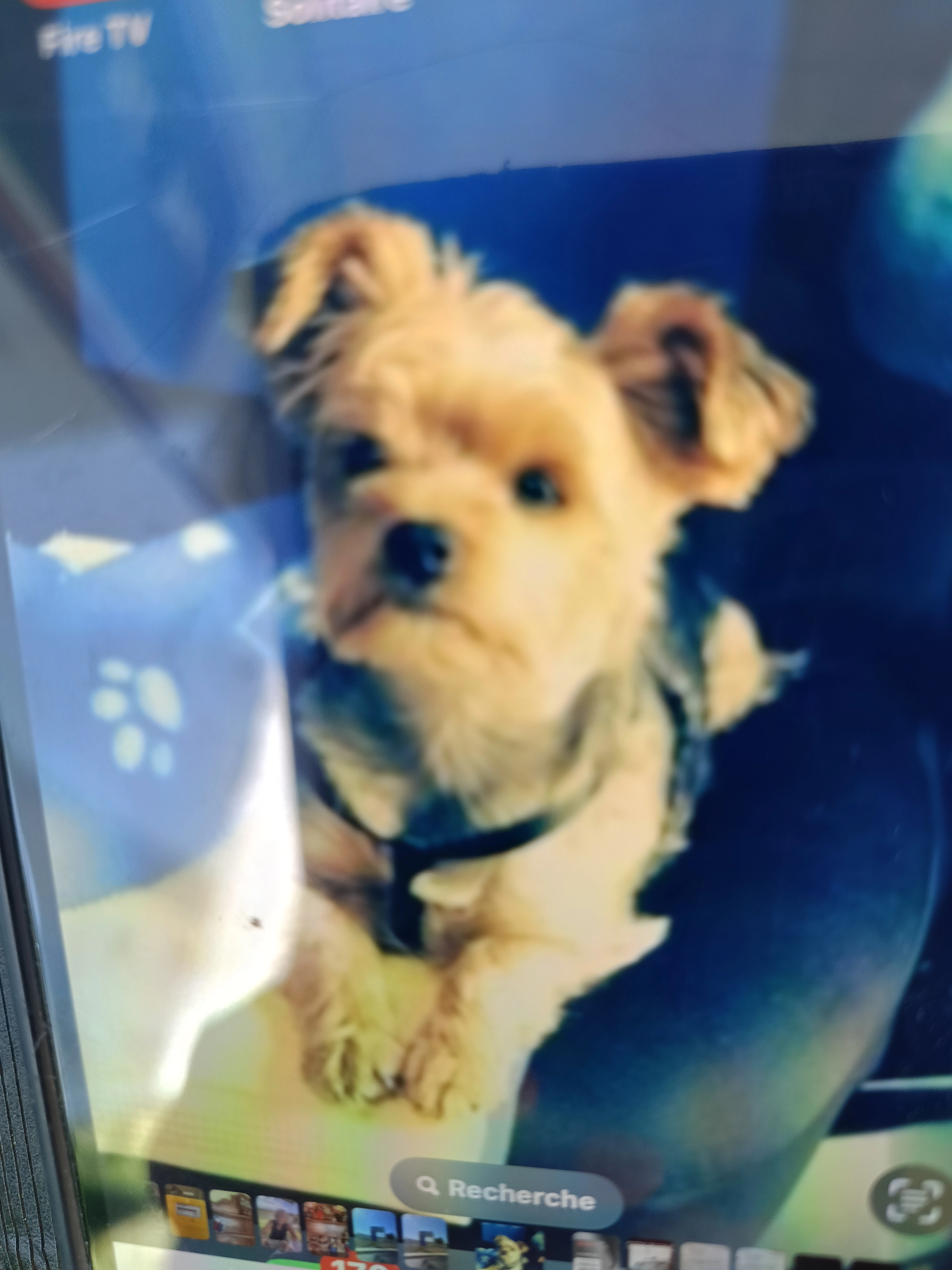 Guess - Rue Du Mauconduit, Criquetot-le-Mauconduit