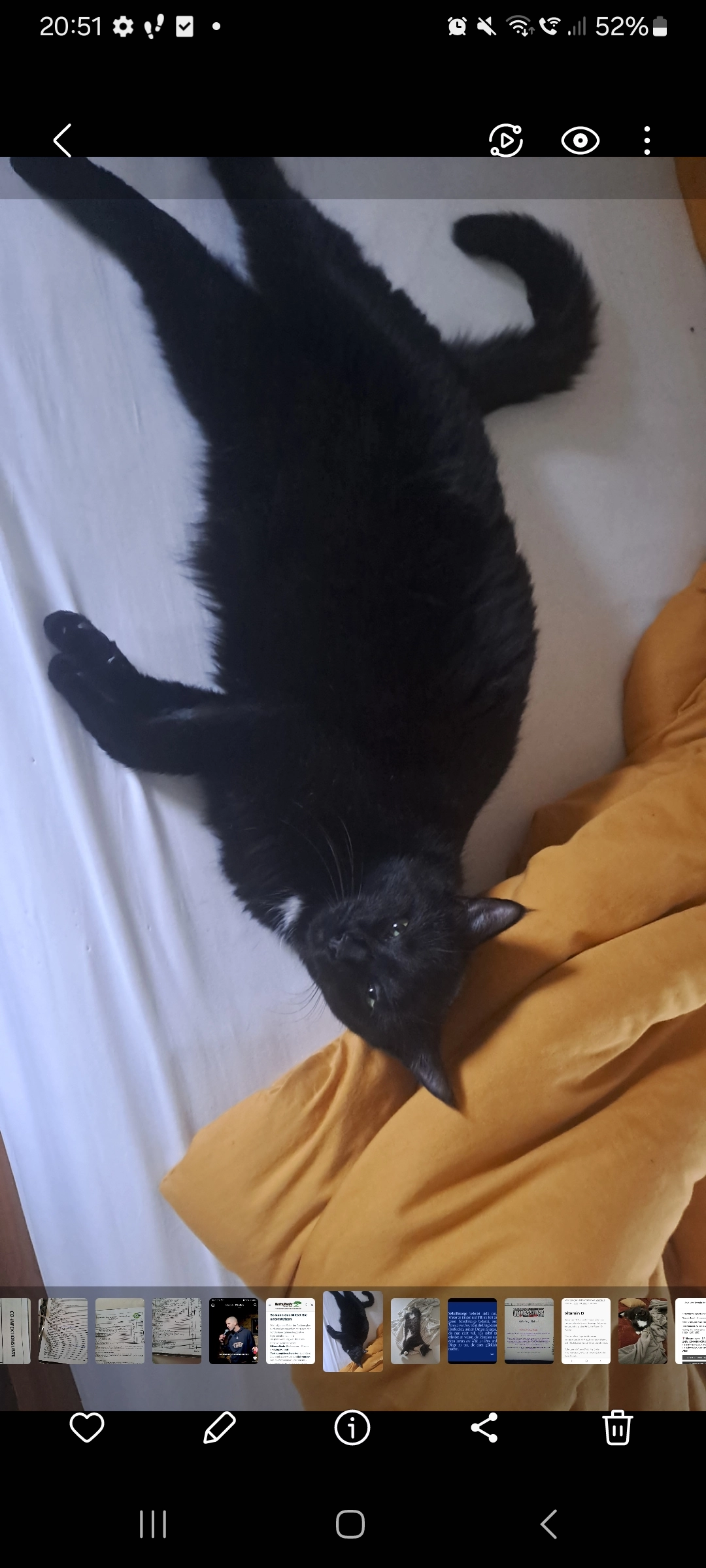 Luxi - Moorhauser Landstraße, Lilienthal