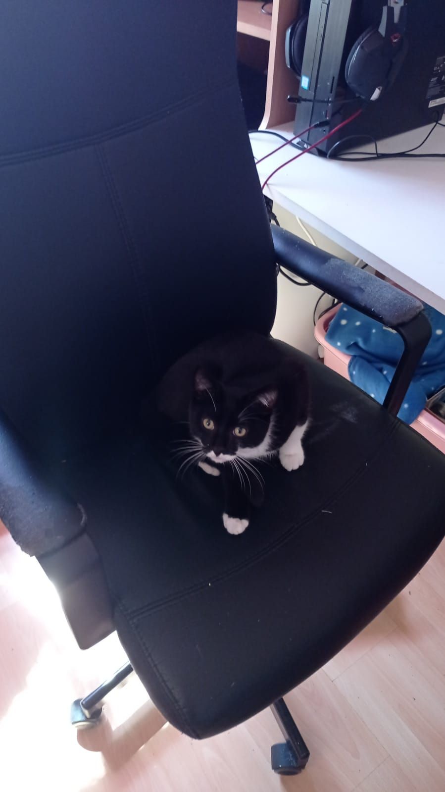 King - Schwindstraße, Amberg