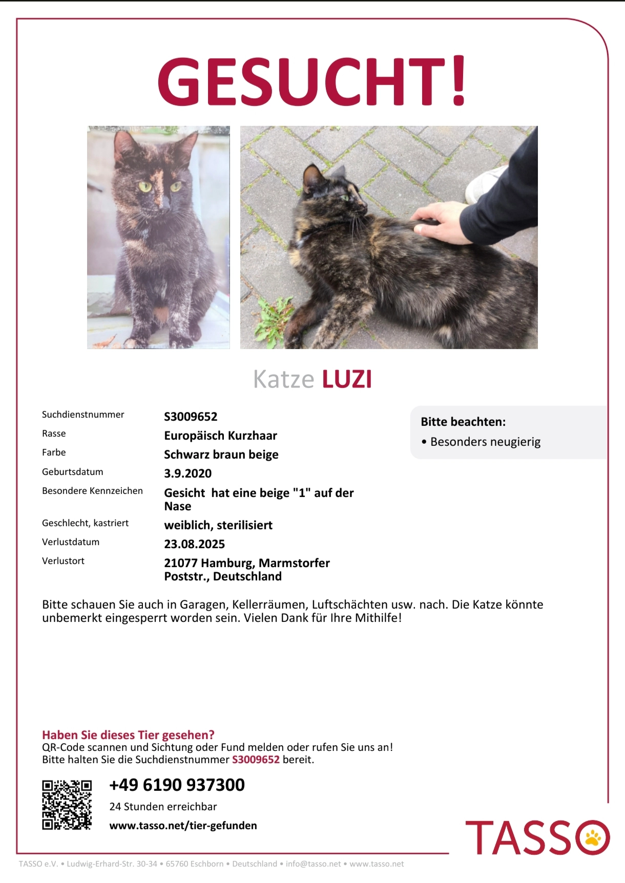 Luzi - Feuerberg, Hamburg