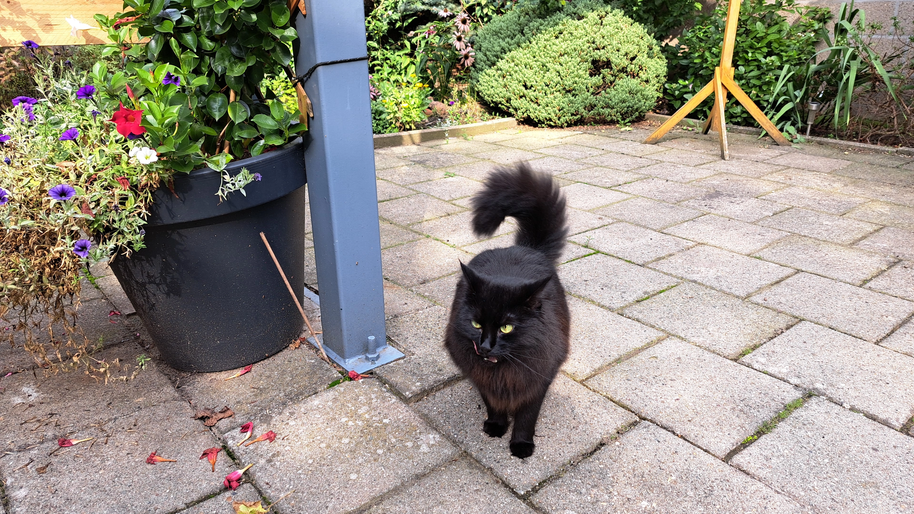 Demo  - Gansbeek, Geleen