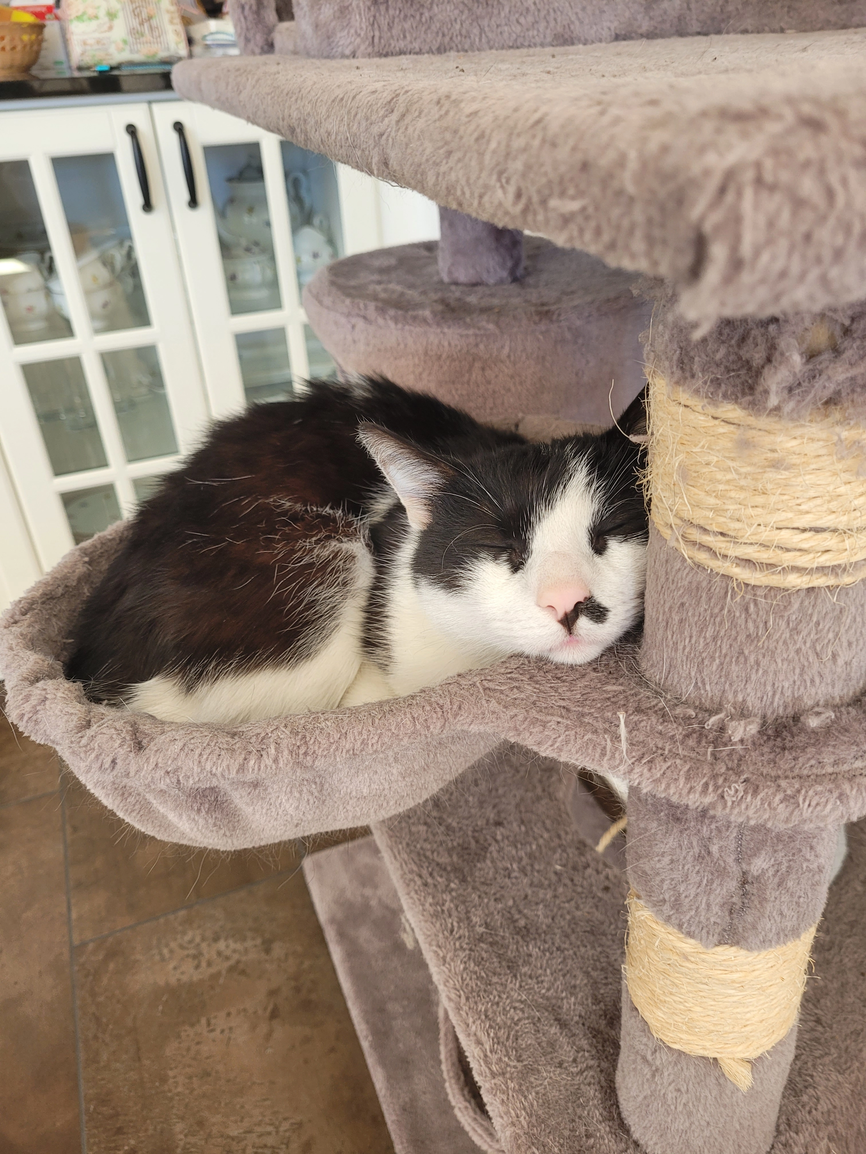 Jerry - Sonnenstraße, Sonnenbühl