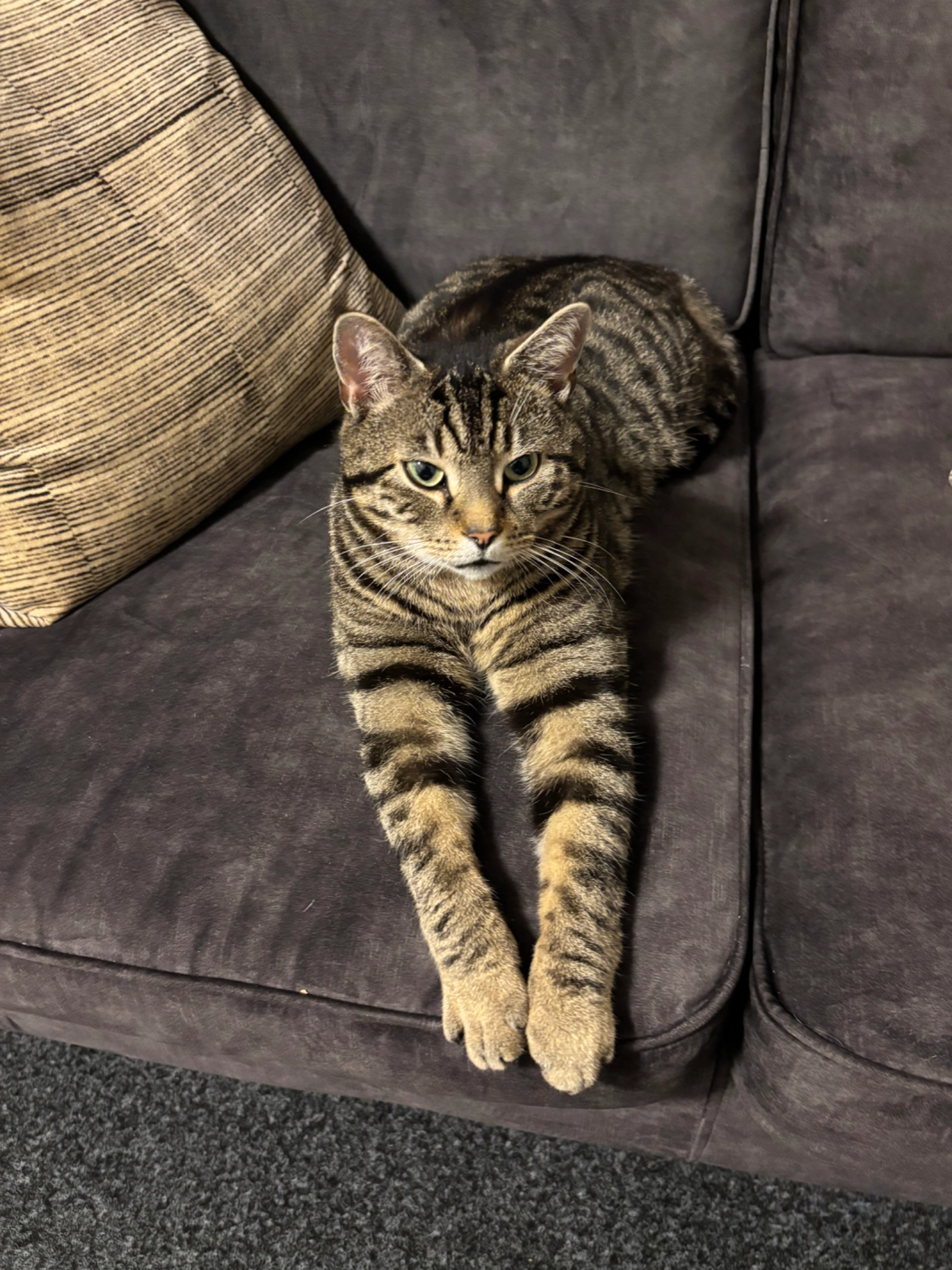 Willem  - Friesestraatweg 107, Groningen