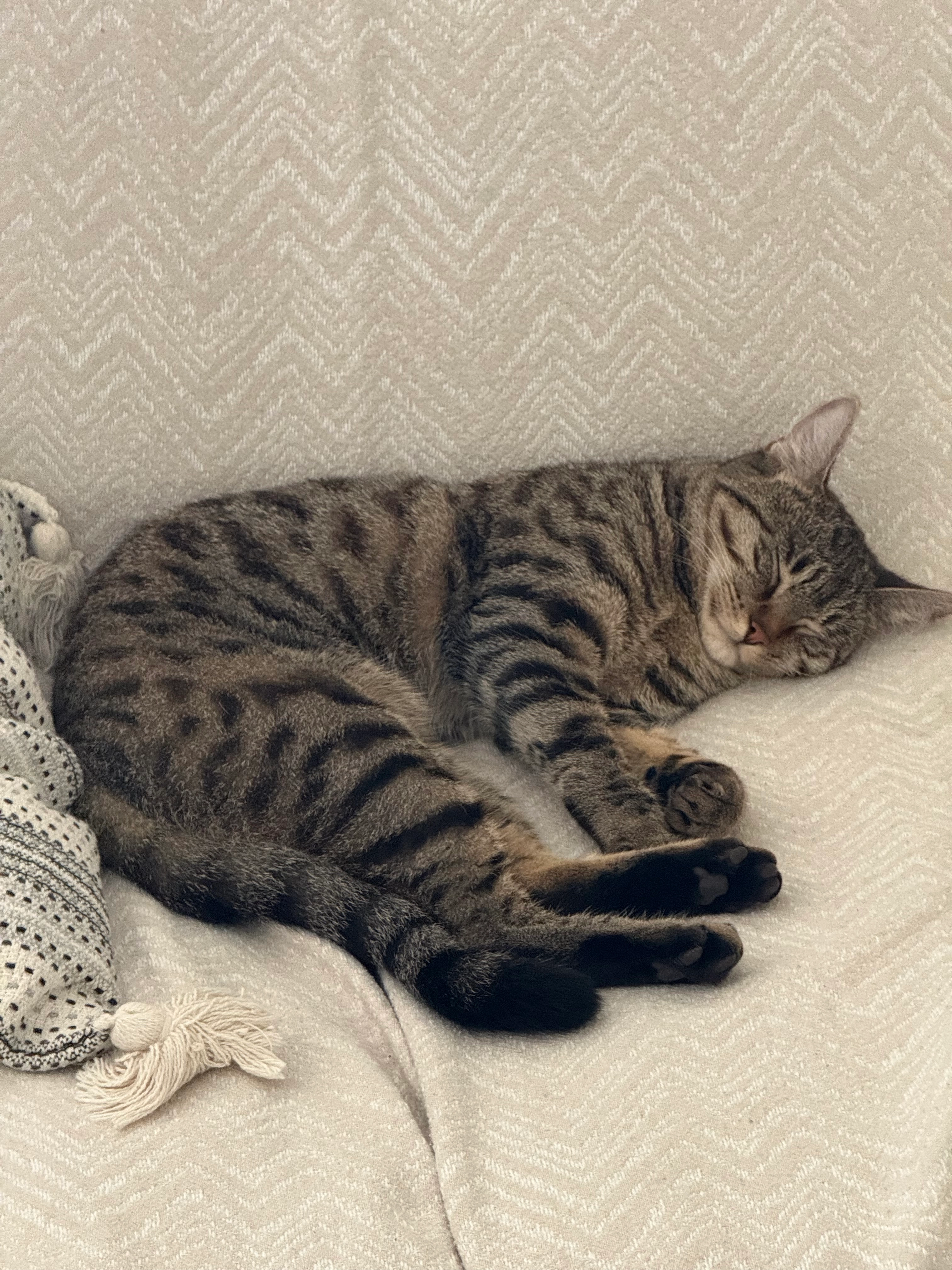 Buria - Καζαντζάκη, Kavala