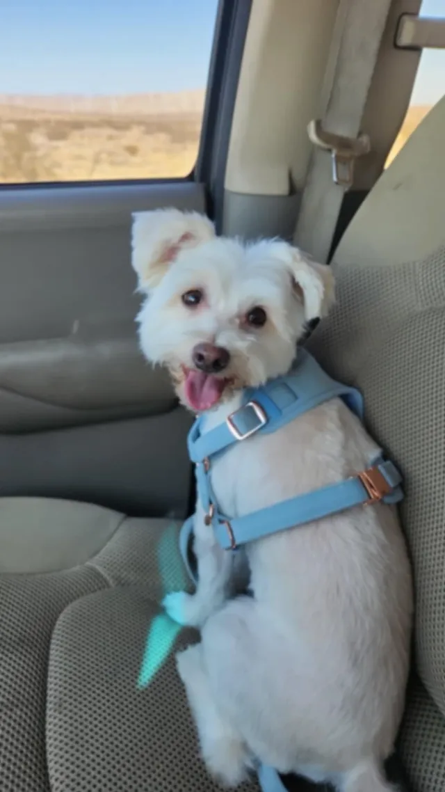 Milo - Highland Ave, National City