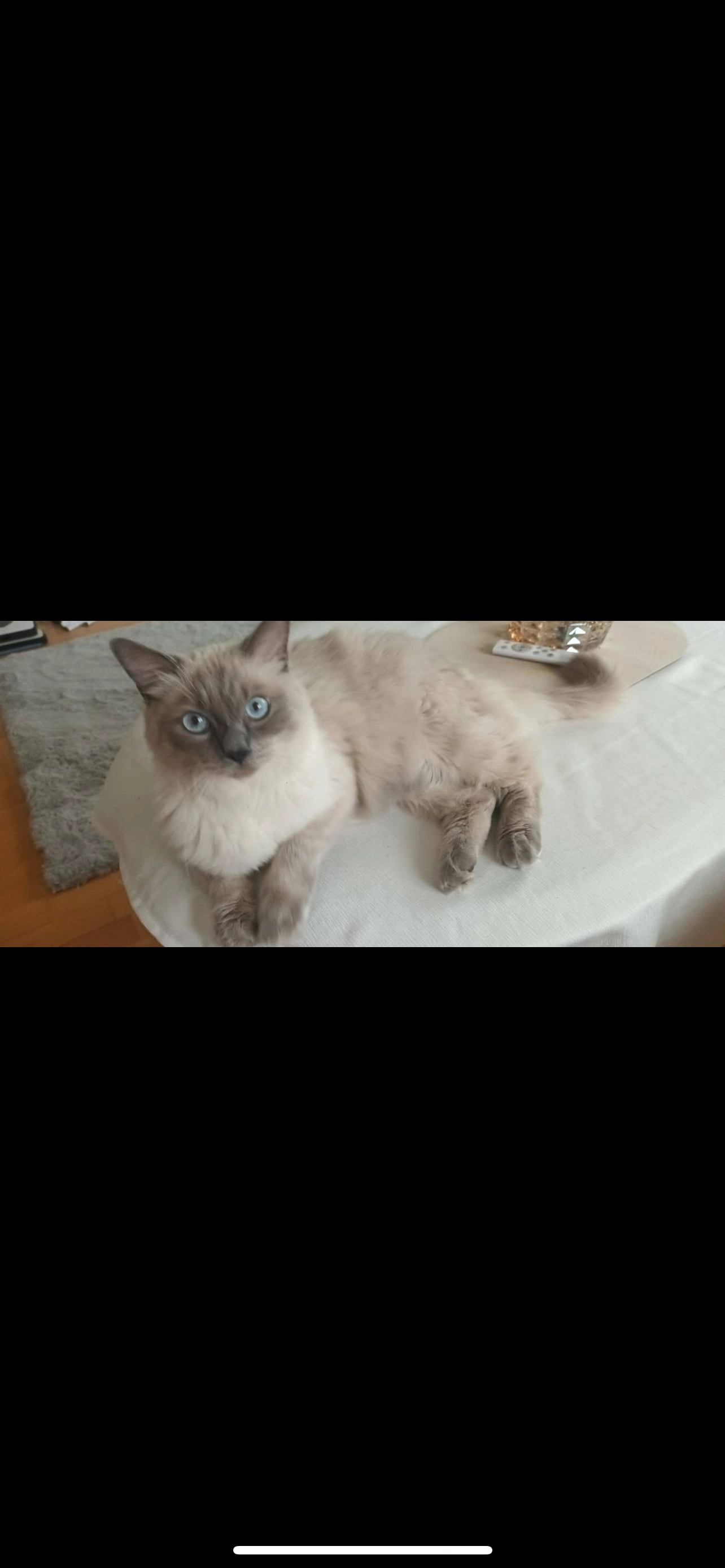 Simba - Feldgasse (Pubersdorf) 11, Poggersdorf