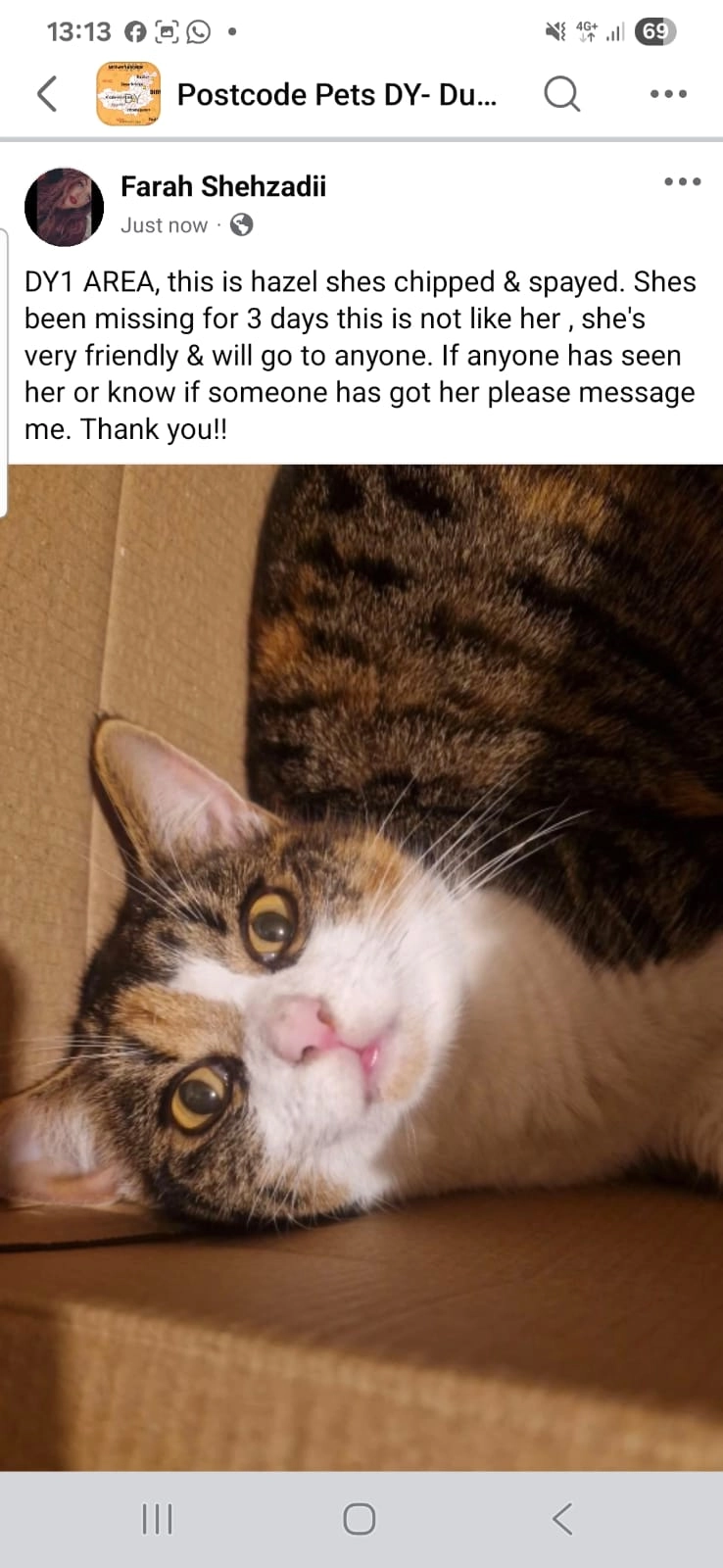 Hazel - Greystone Street, Dudley