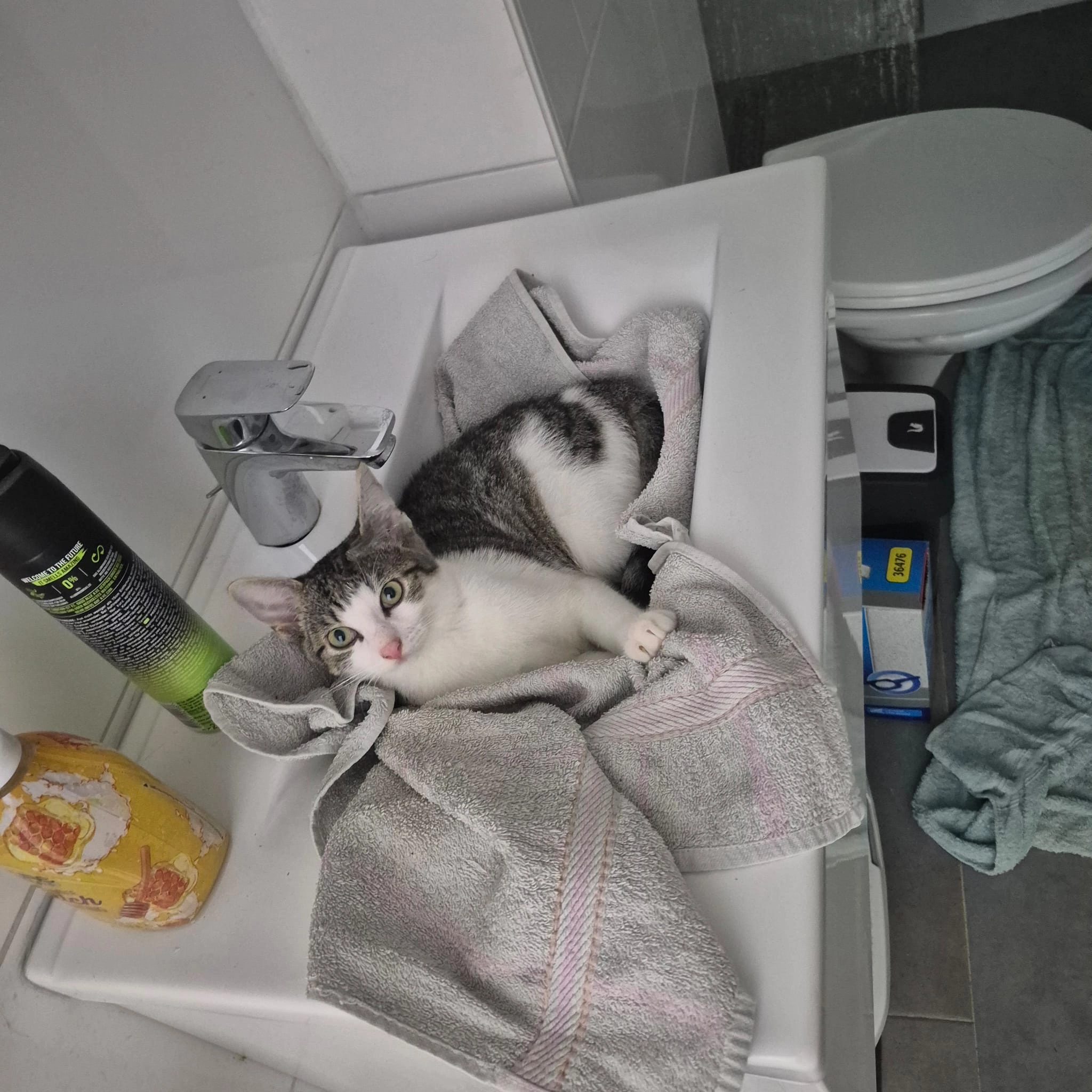 Baylie - Dorfstraße 86, Radensleben