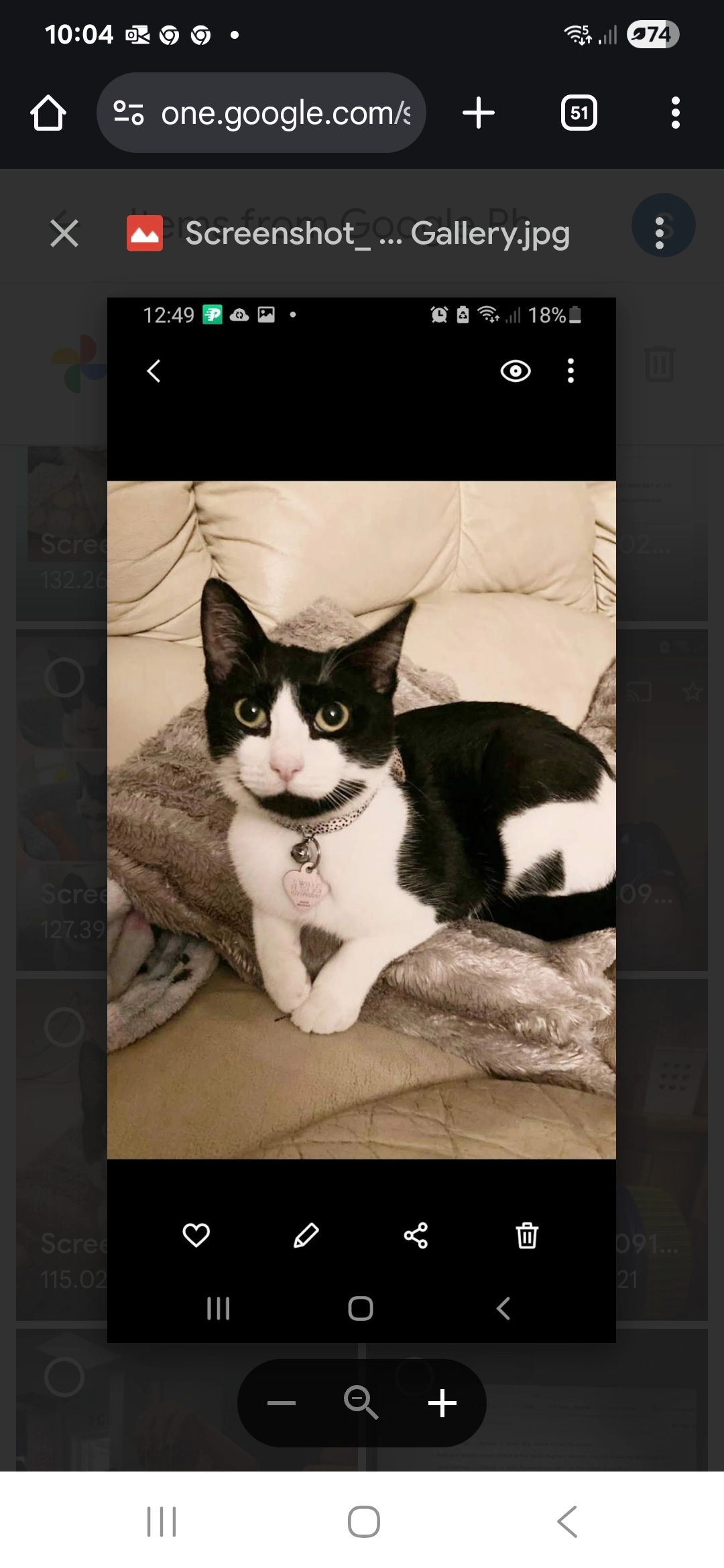 Brooklyn - 14 Castle Close, Southend-on-Sea