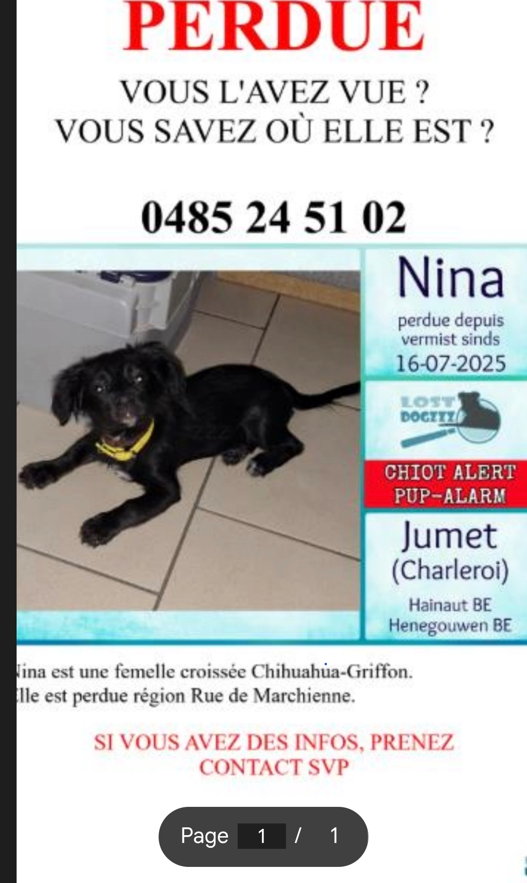 Nina - Allée Verte, Charleroi