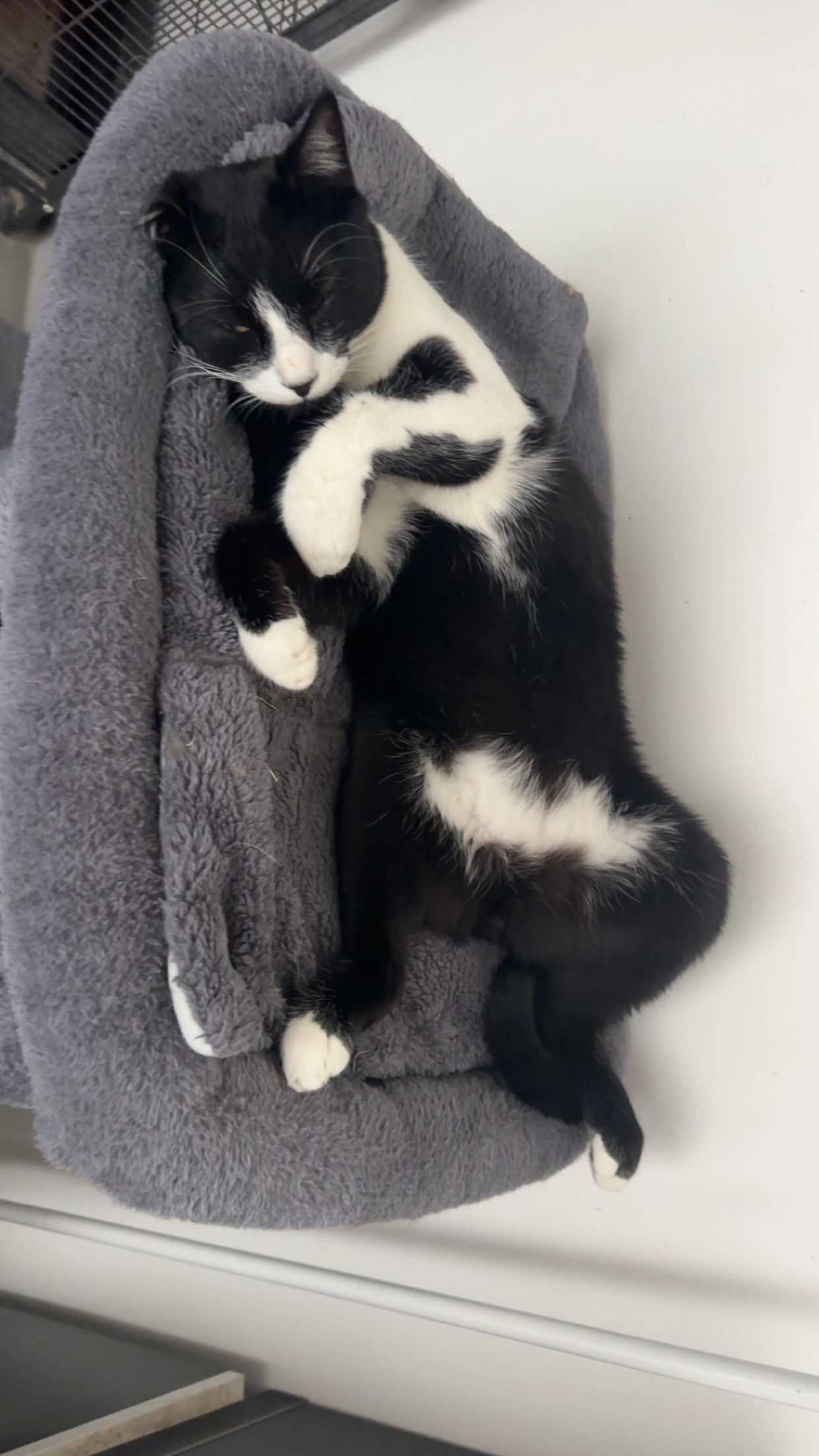 Maxime - Rue De L'église, Basse-Rentgen