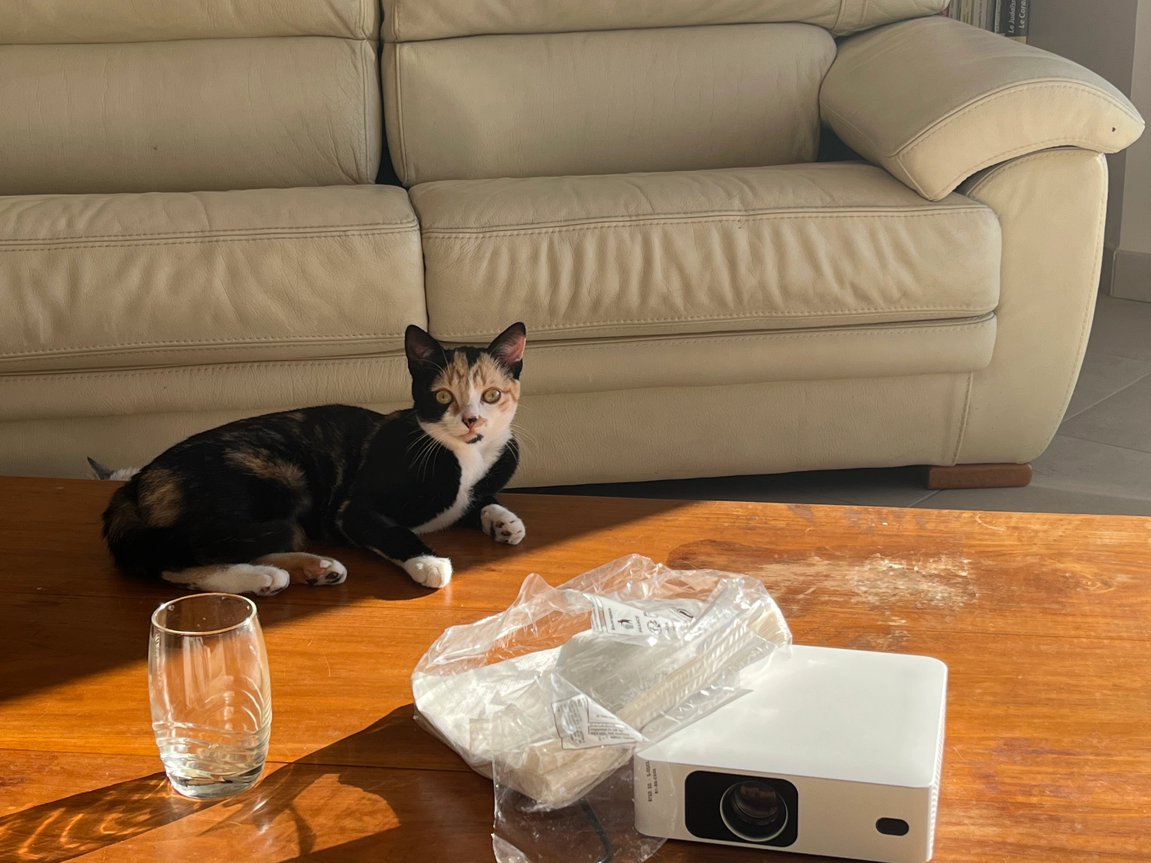 Voyelle - 92 Rue de Créqui, Beauval