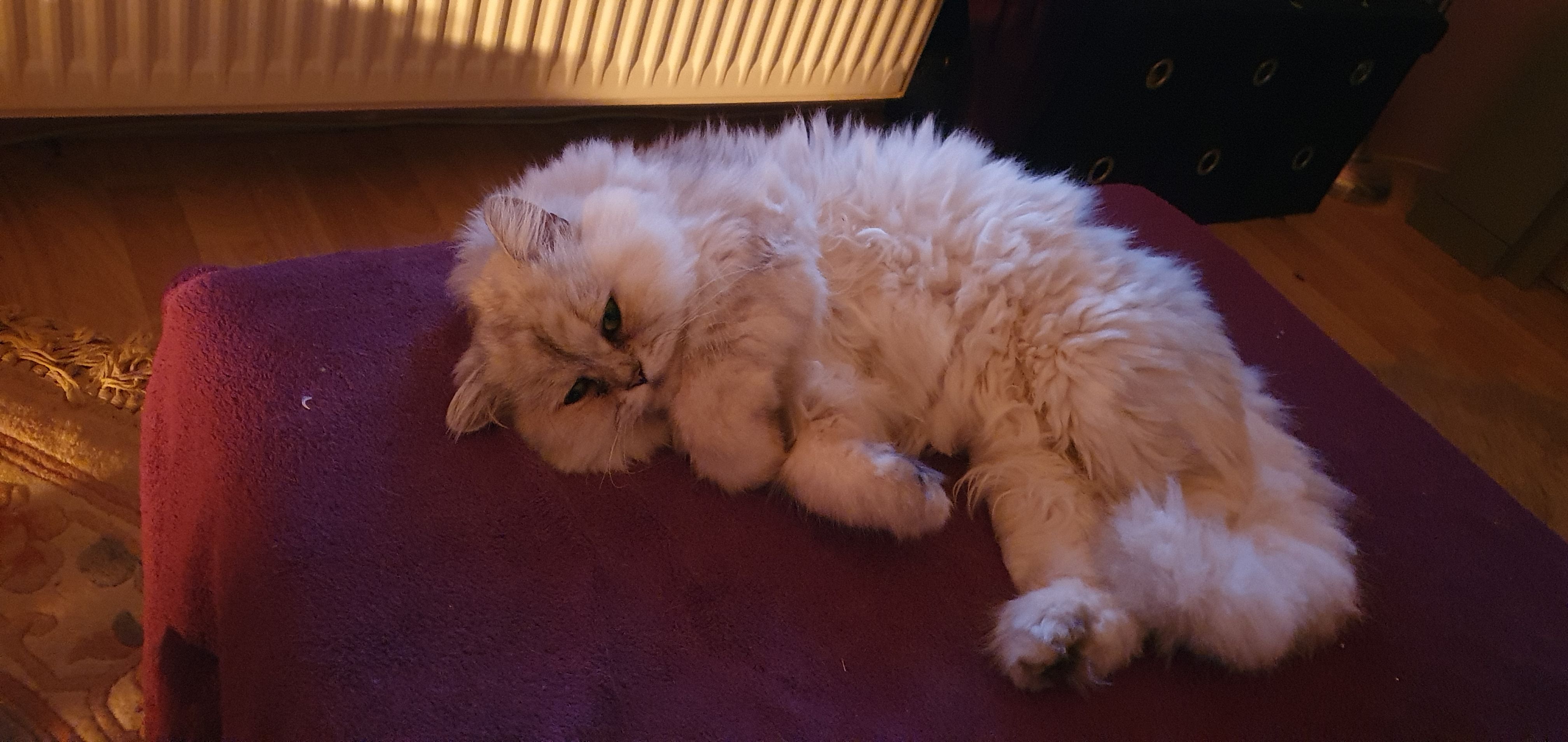 Karli - Pyrmonter Straße, Bad Pyrmont