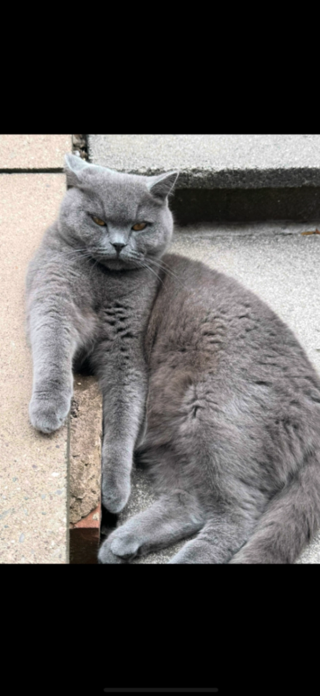 Chili - Winchester Close, Birmingham