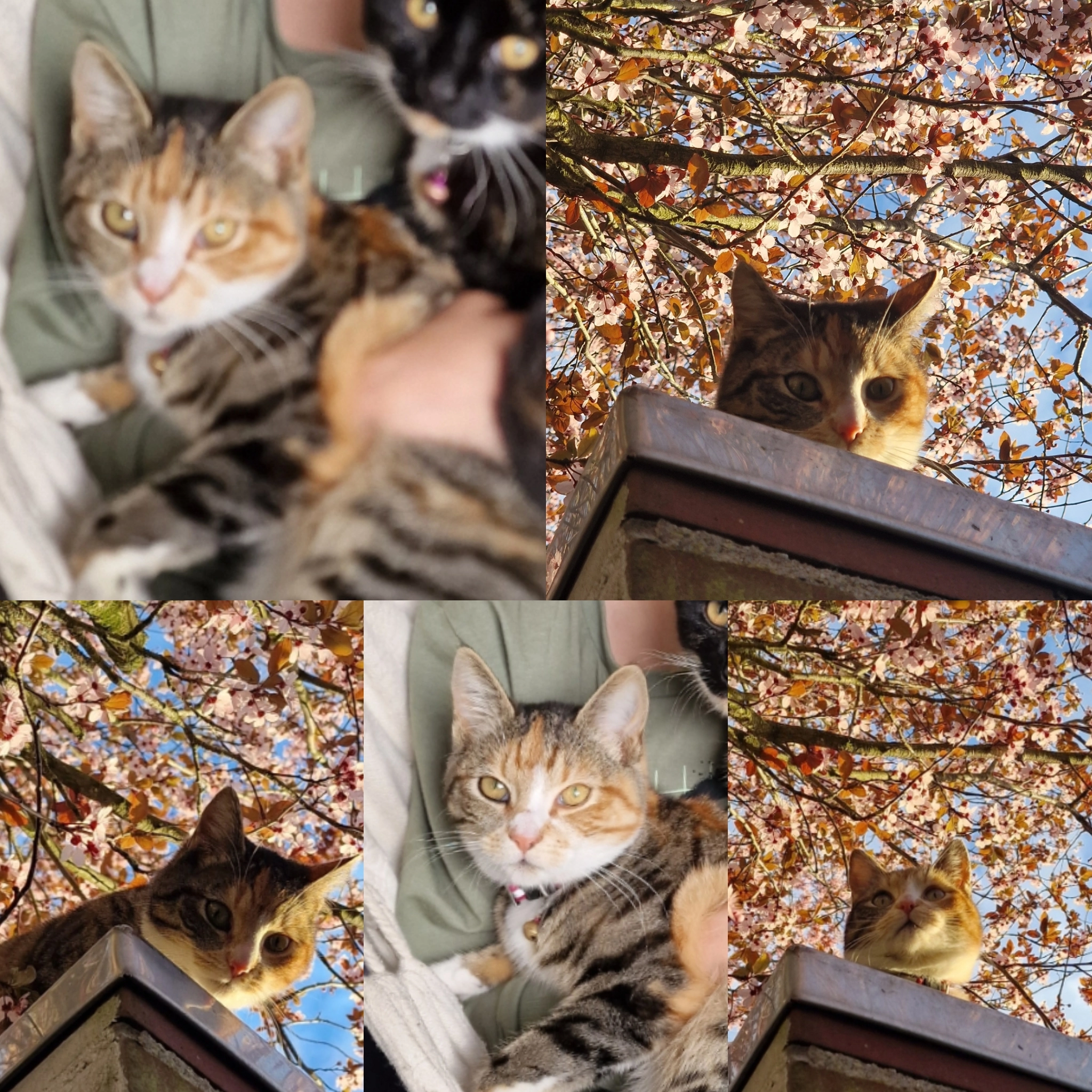 Vlekje - Spoorstraat, Vierlingsbeek