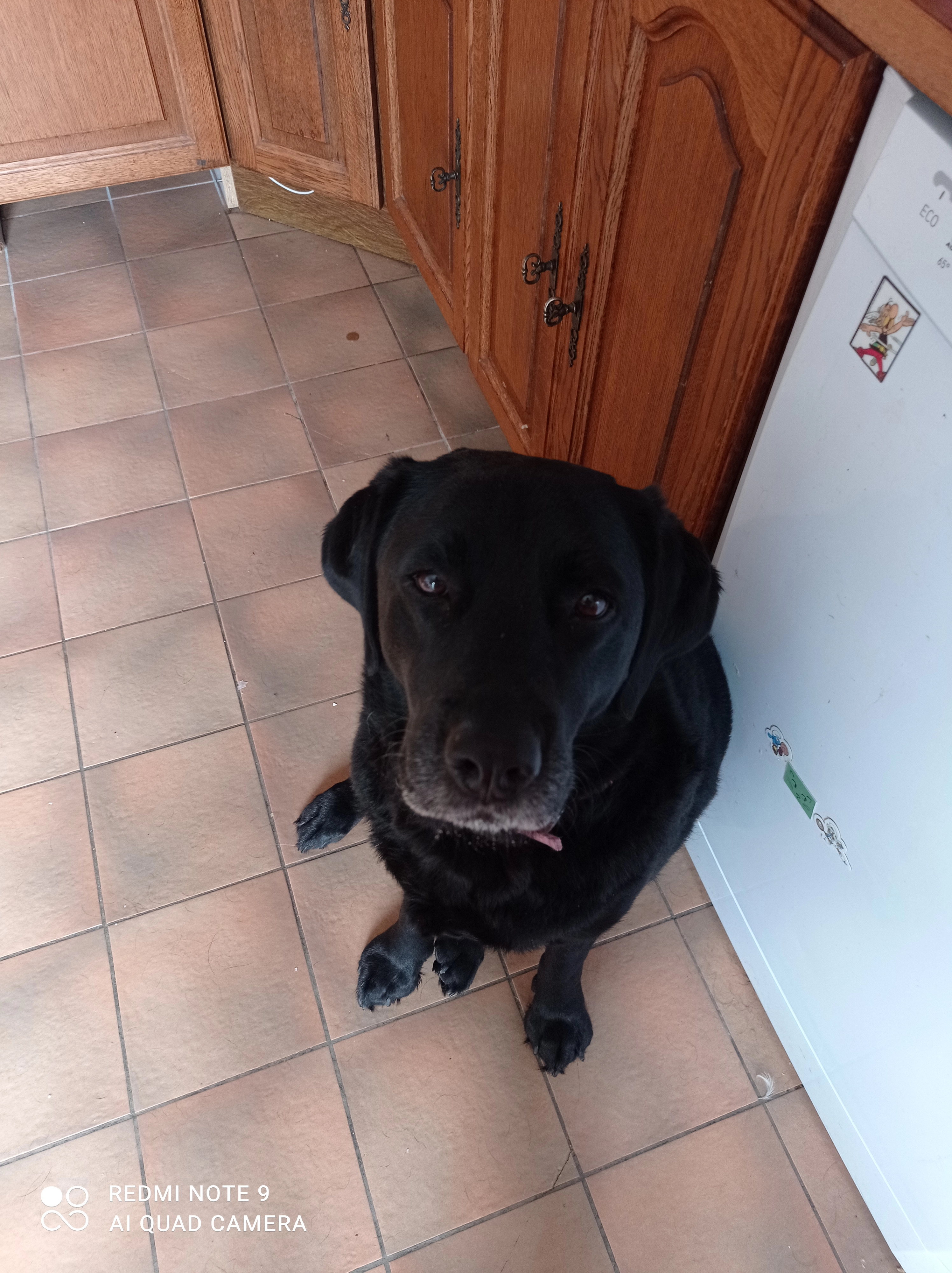 Marvel - Rue de Savoie, Créhange