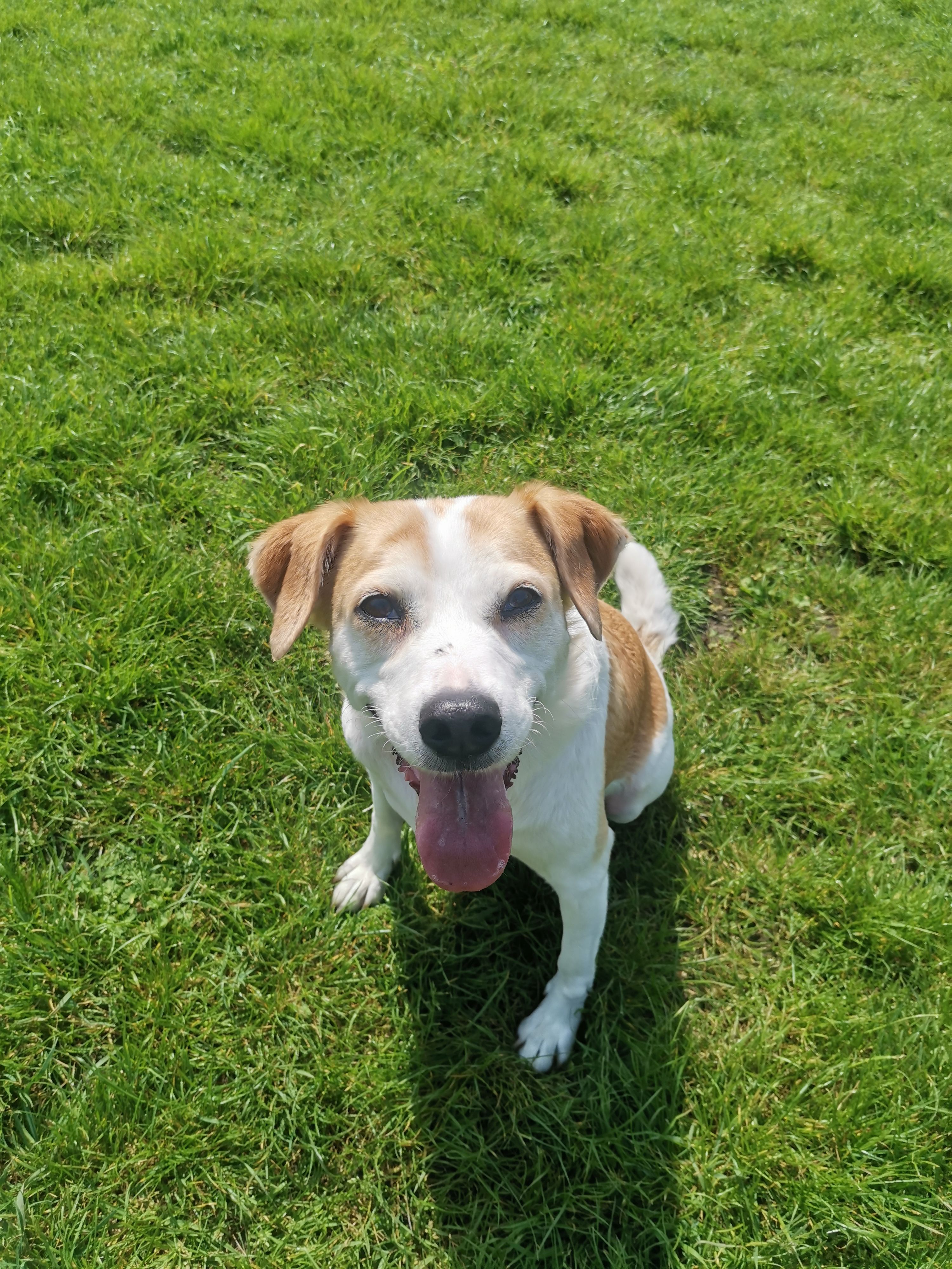 Sina - Fuhligsweg, Köln