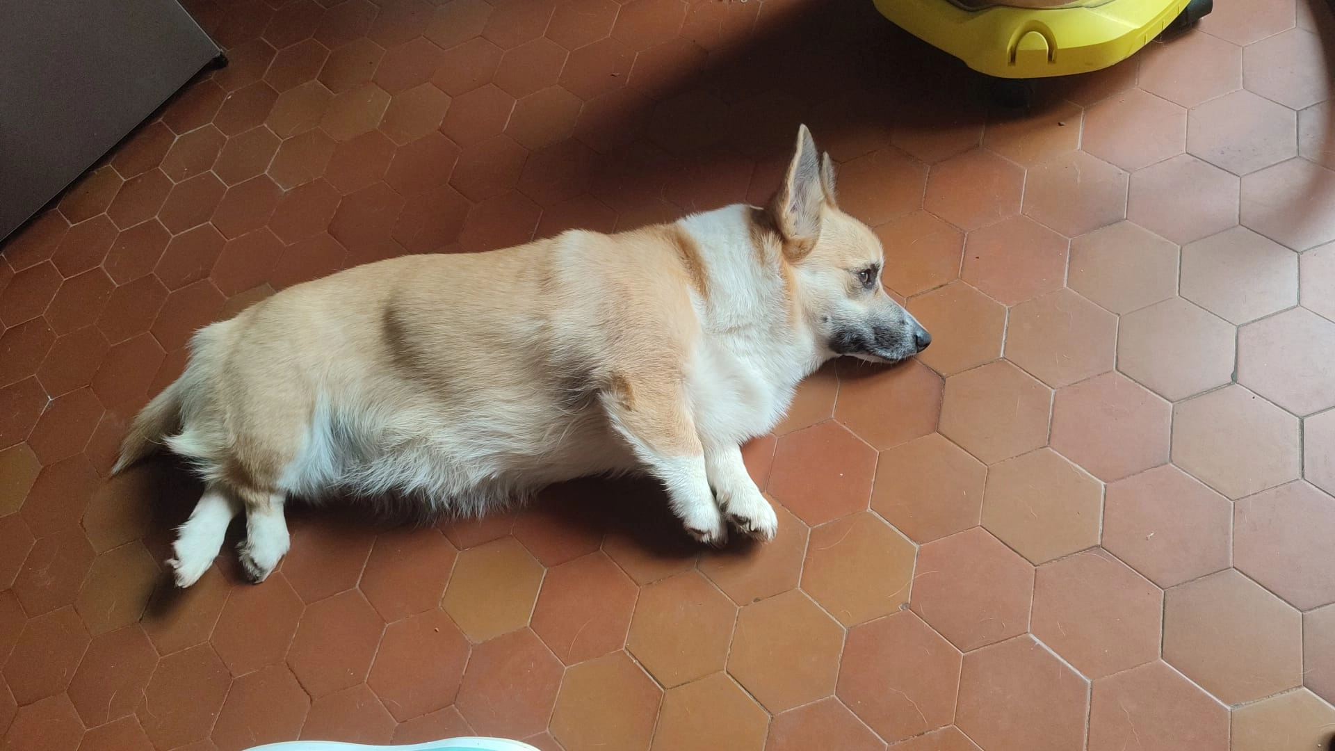 Uma - Route des Mazers, Vitrac