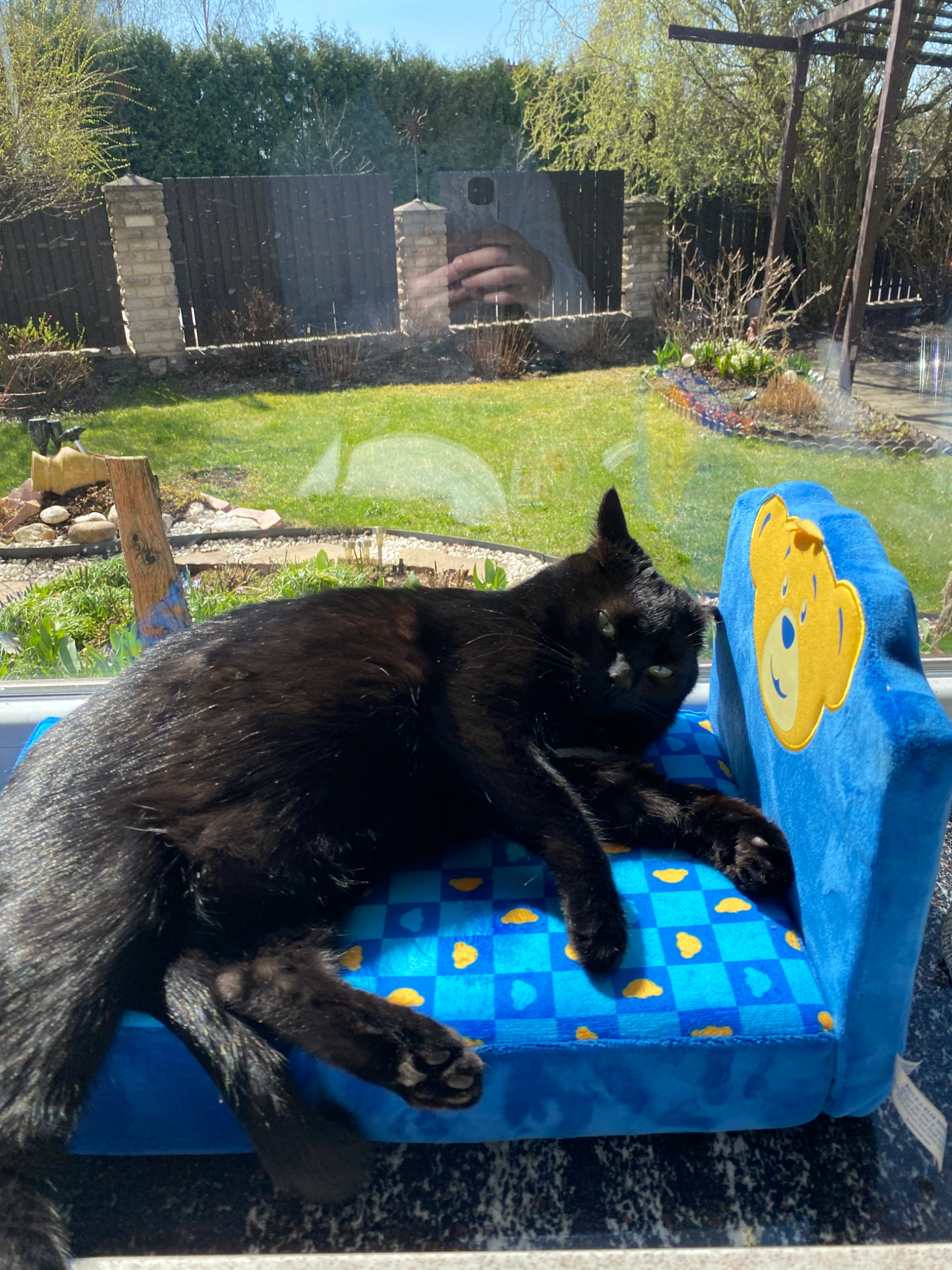 Timis - Ežero gatvė, Vilniaus rajonas