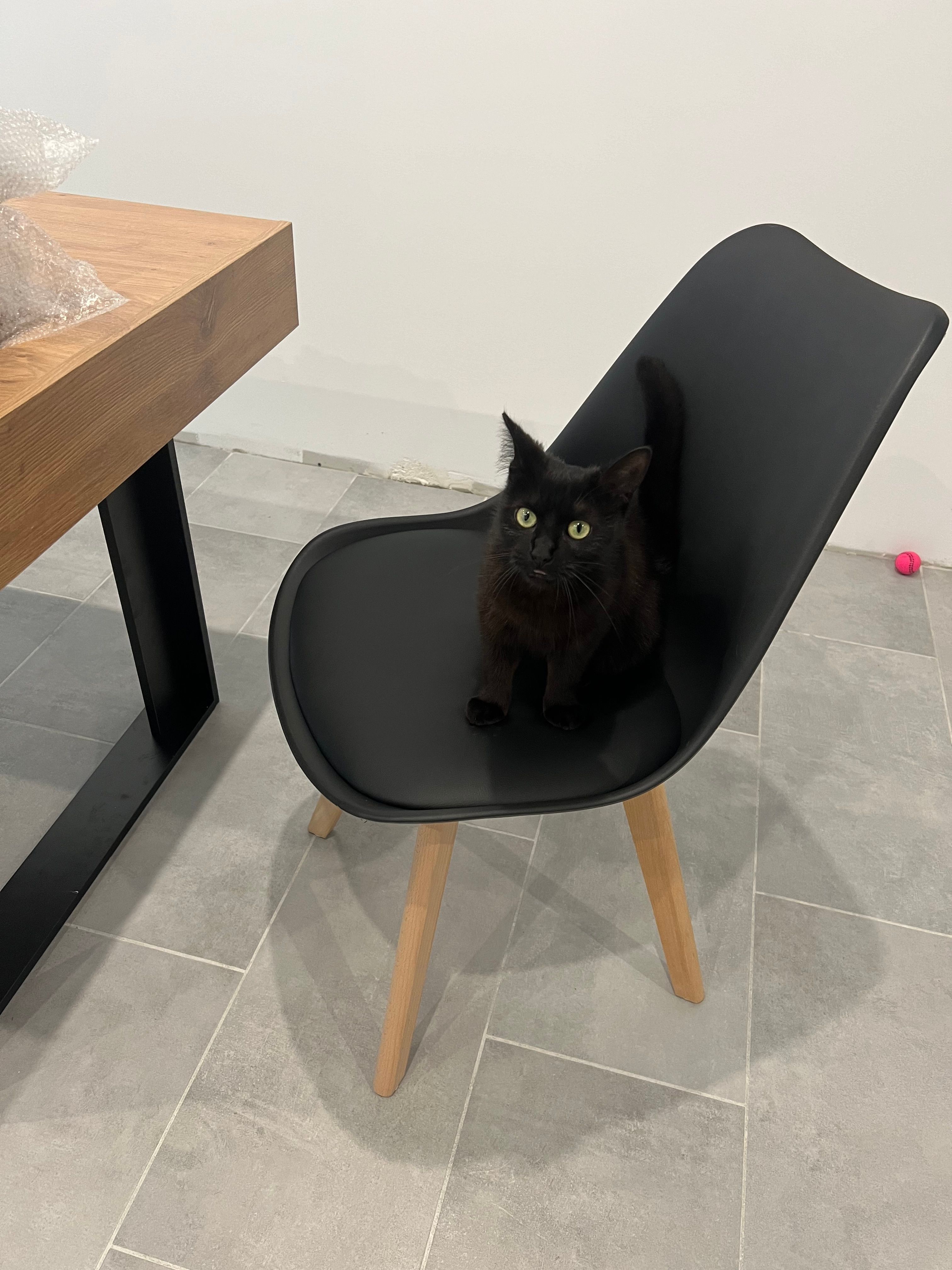 Leila - 104 Rue de l'Église, Villematier 31340