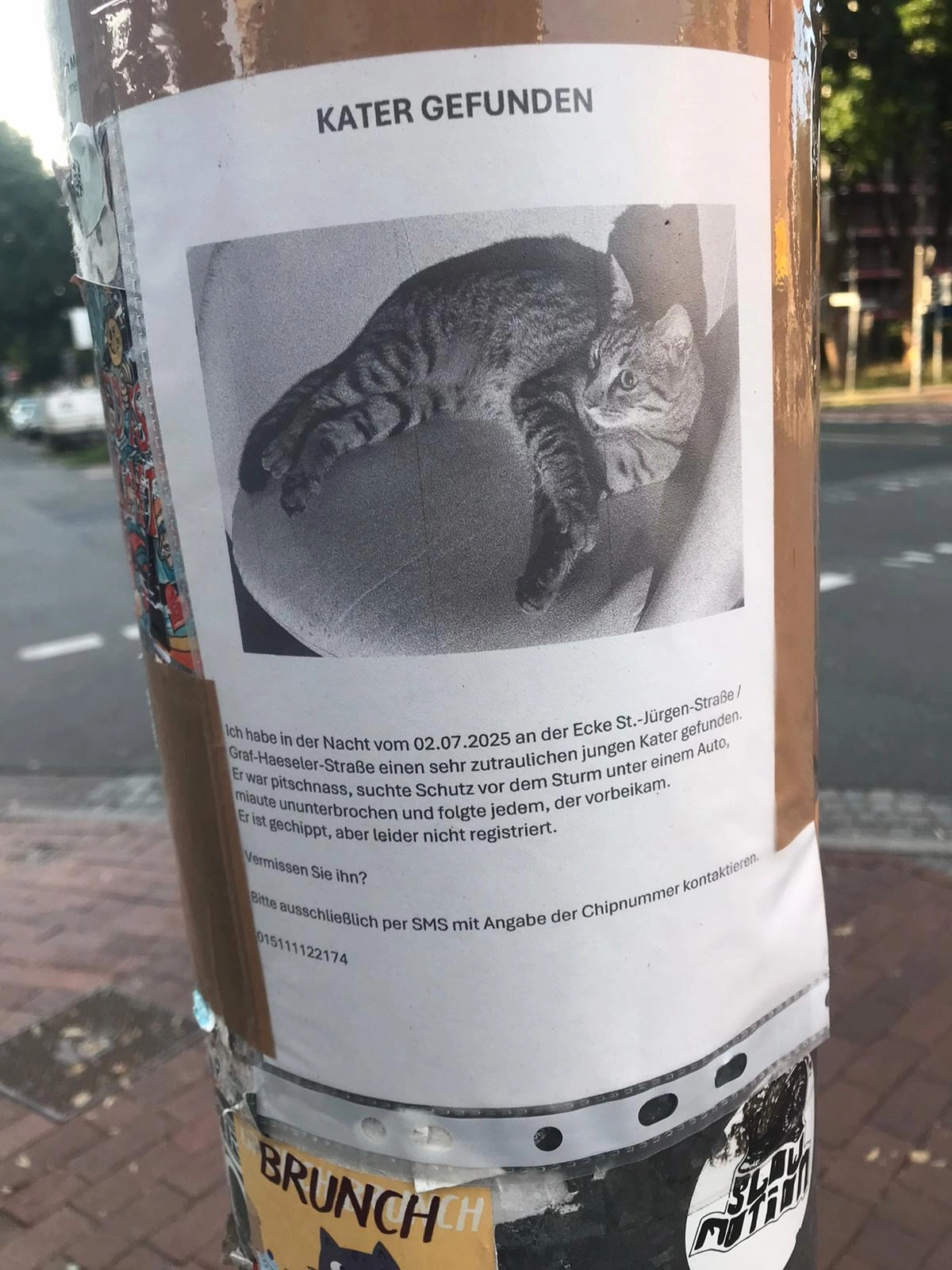 Findus - Friedrich-Karl-Straße, Bremen