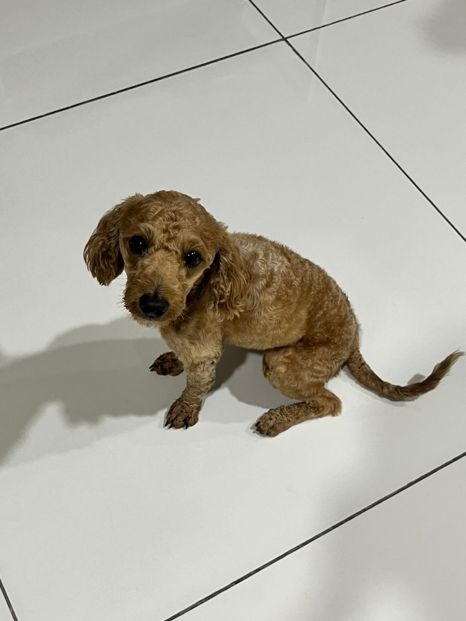 yo bo - Jalan Aman Perdana 11C/KU5, Kapar