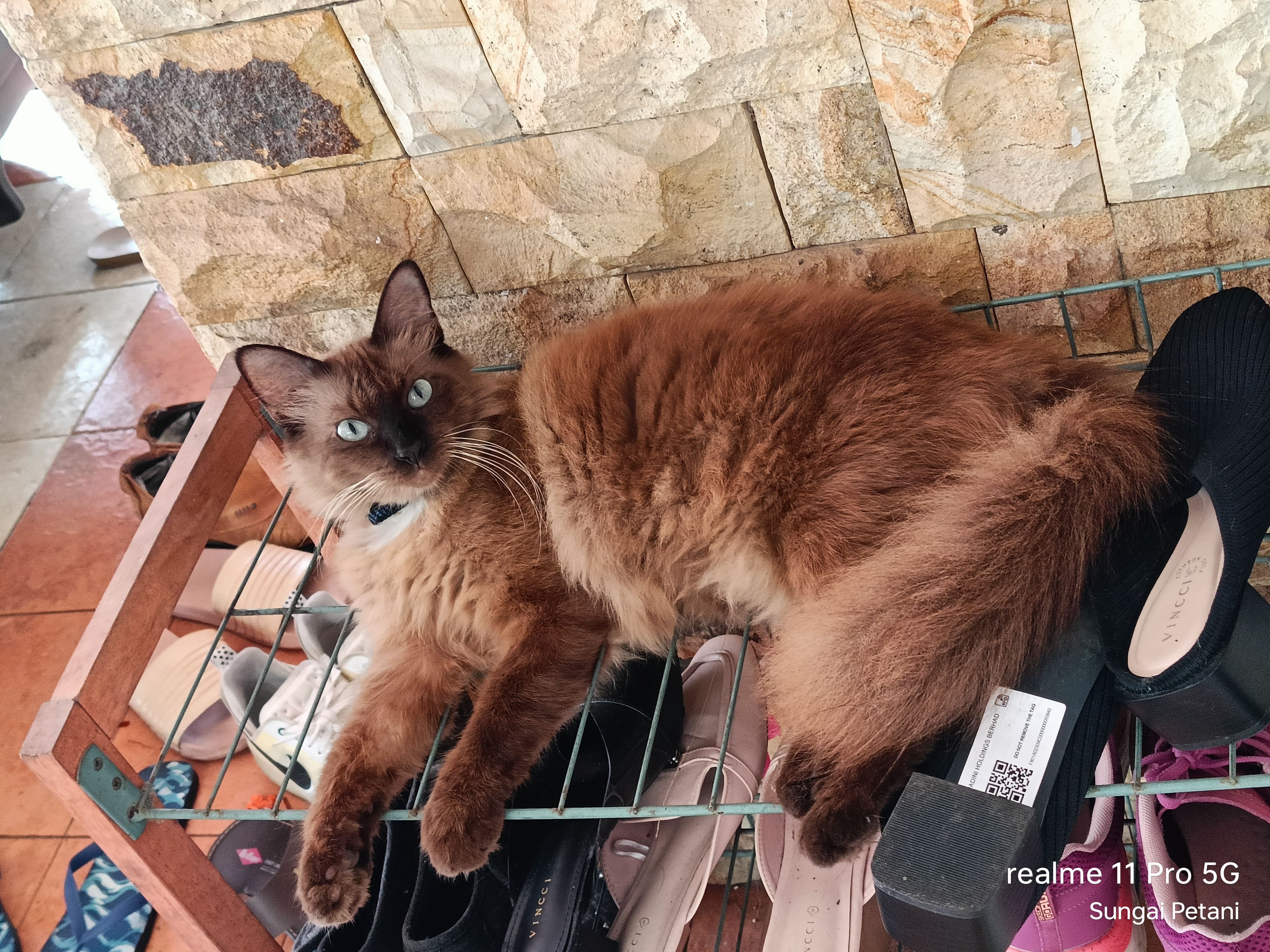 Tago - Persiaran BLM 2, Kuala Muda