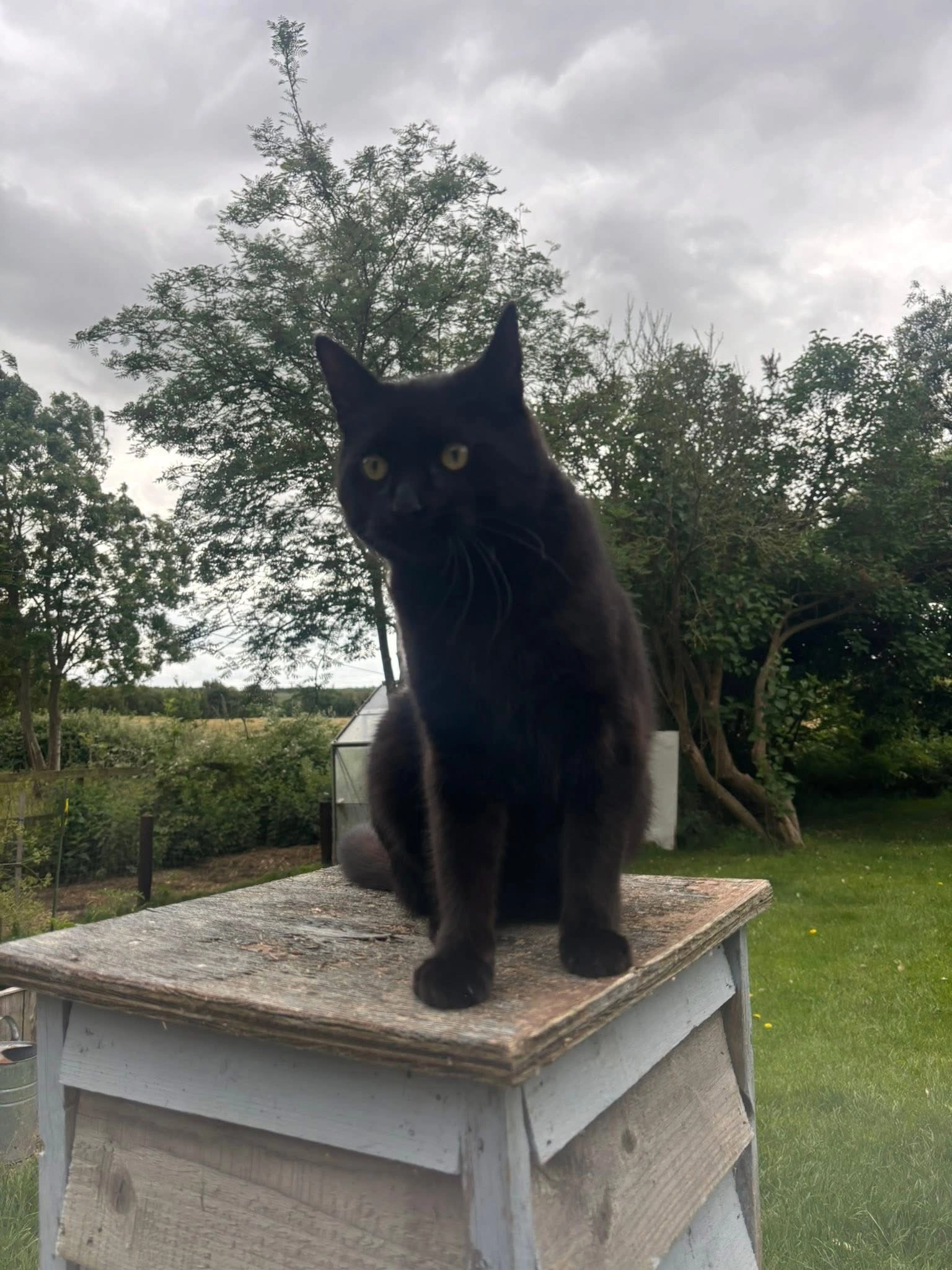 Toast - Port Way, Kidlington