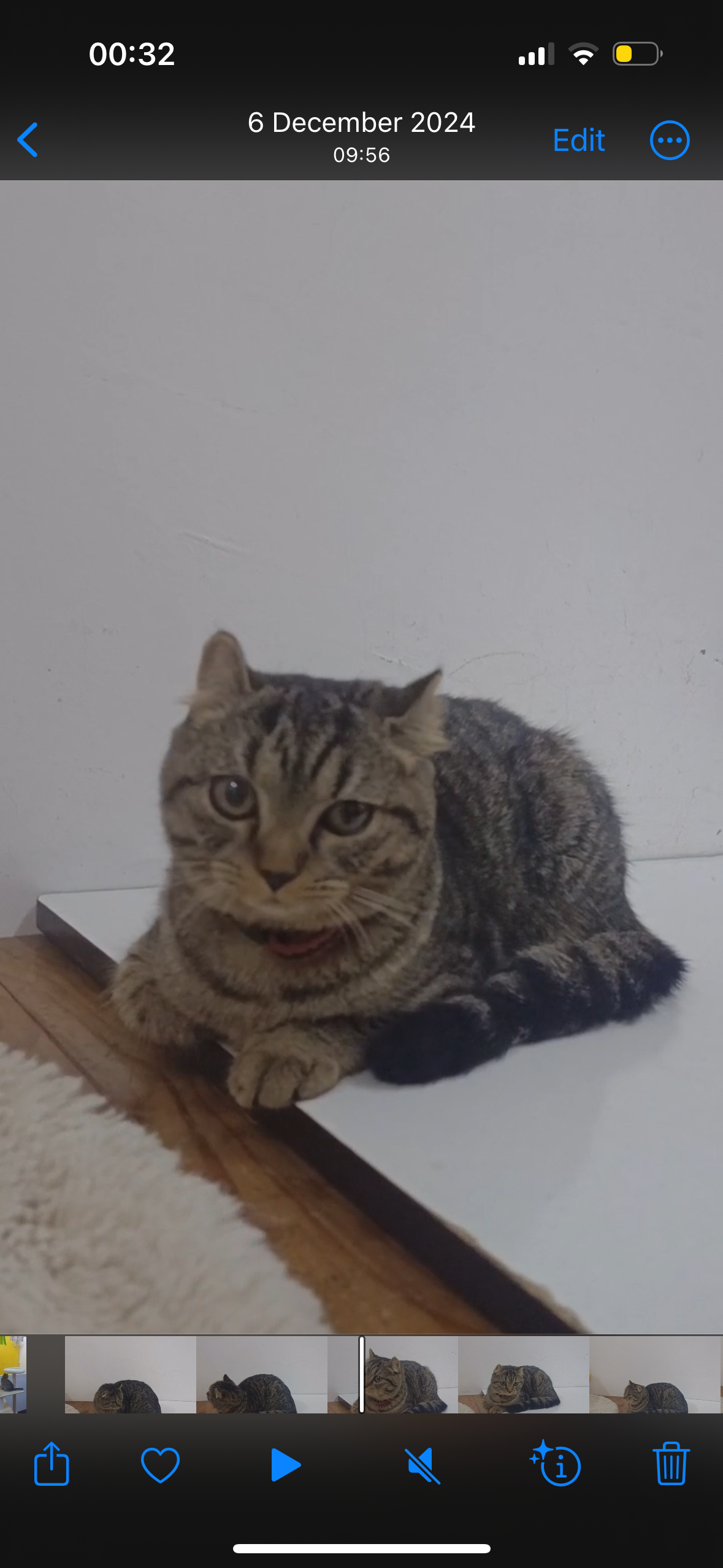 Momon - 81550, Gelang Patah