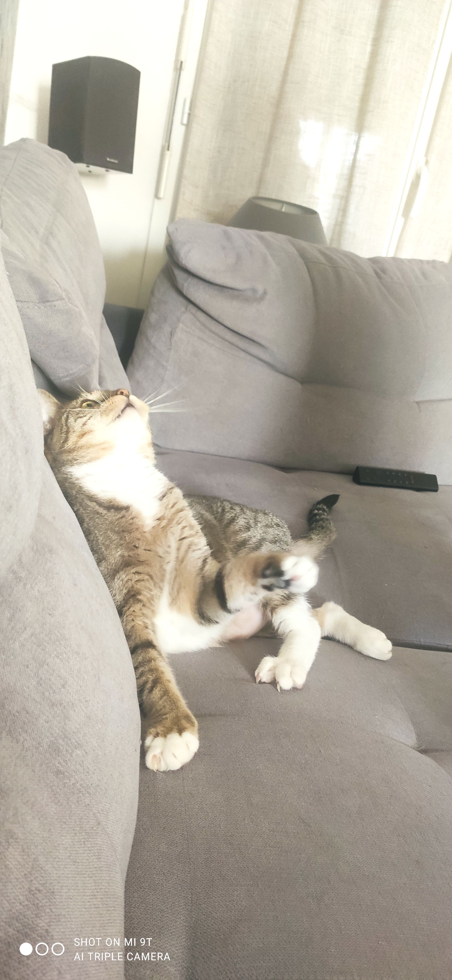 Osiris - Route De La Joubais, Pontchâteau