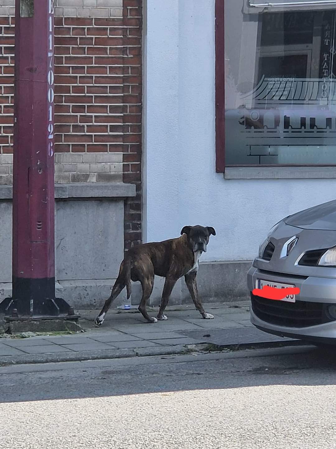 Rox - Rue du Moria, Charleroi