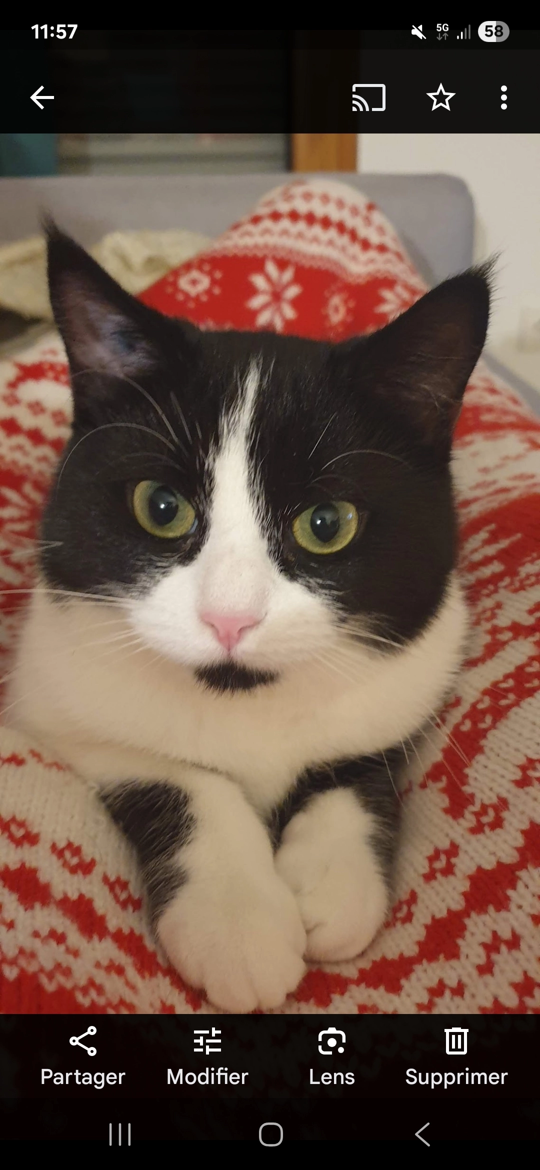 Patate  - 246 Route du Clos de May, Éteaux