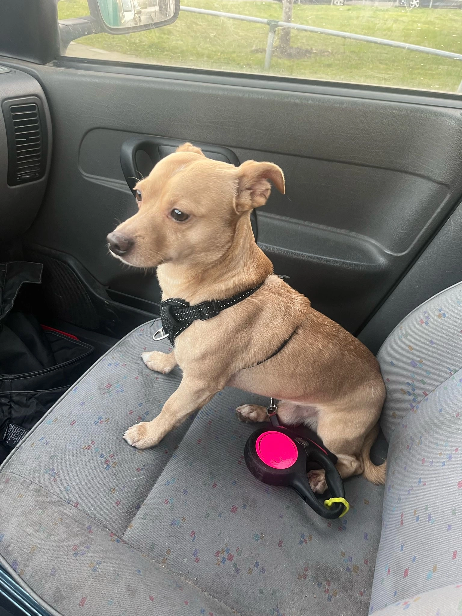 Simba - Buitenplaats, Lelystad