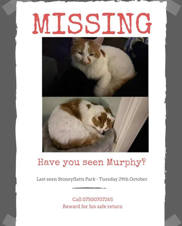 Murphy - Stoneyflatts Park, Queensferry