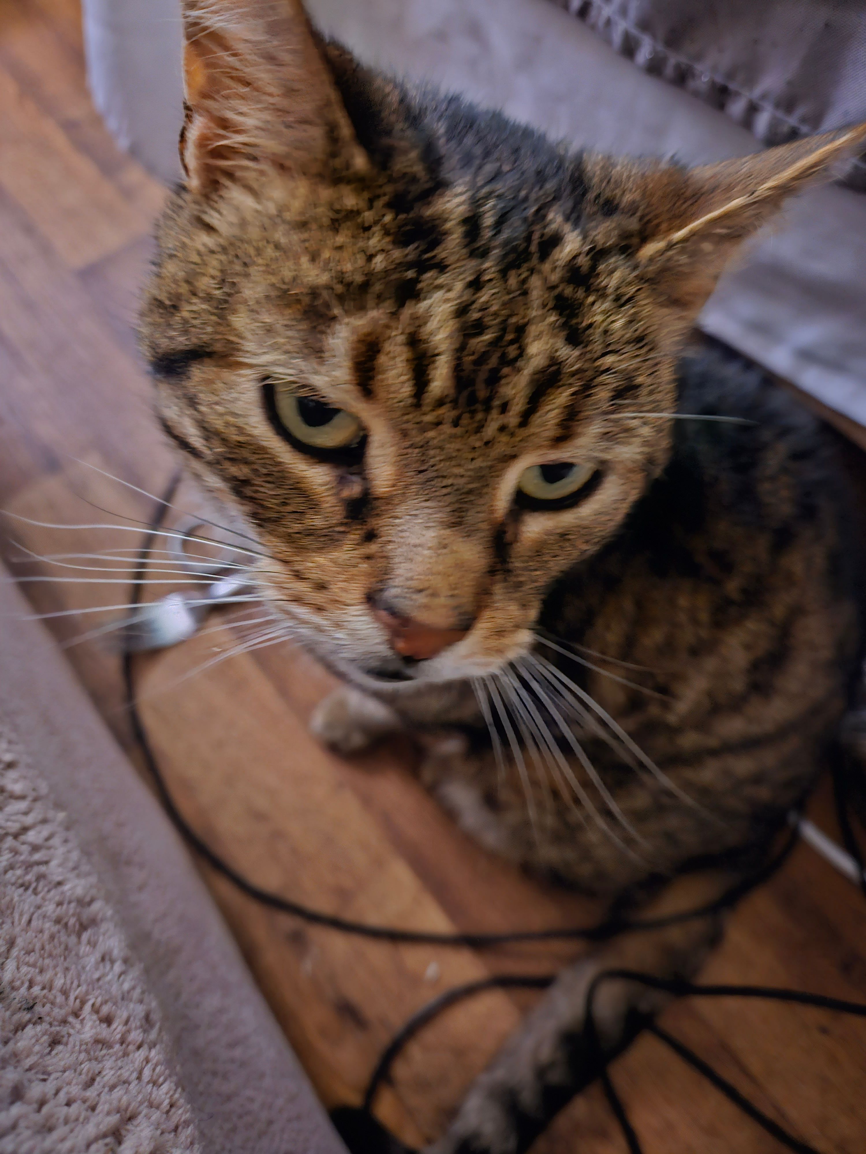 Einstein - Kirchstraße, Ostrhauderfehn