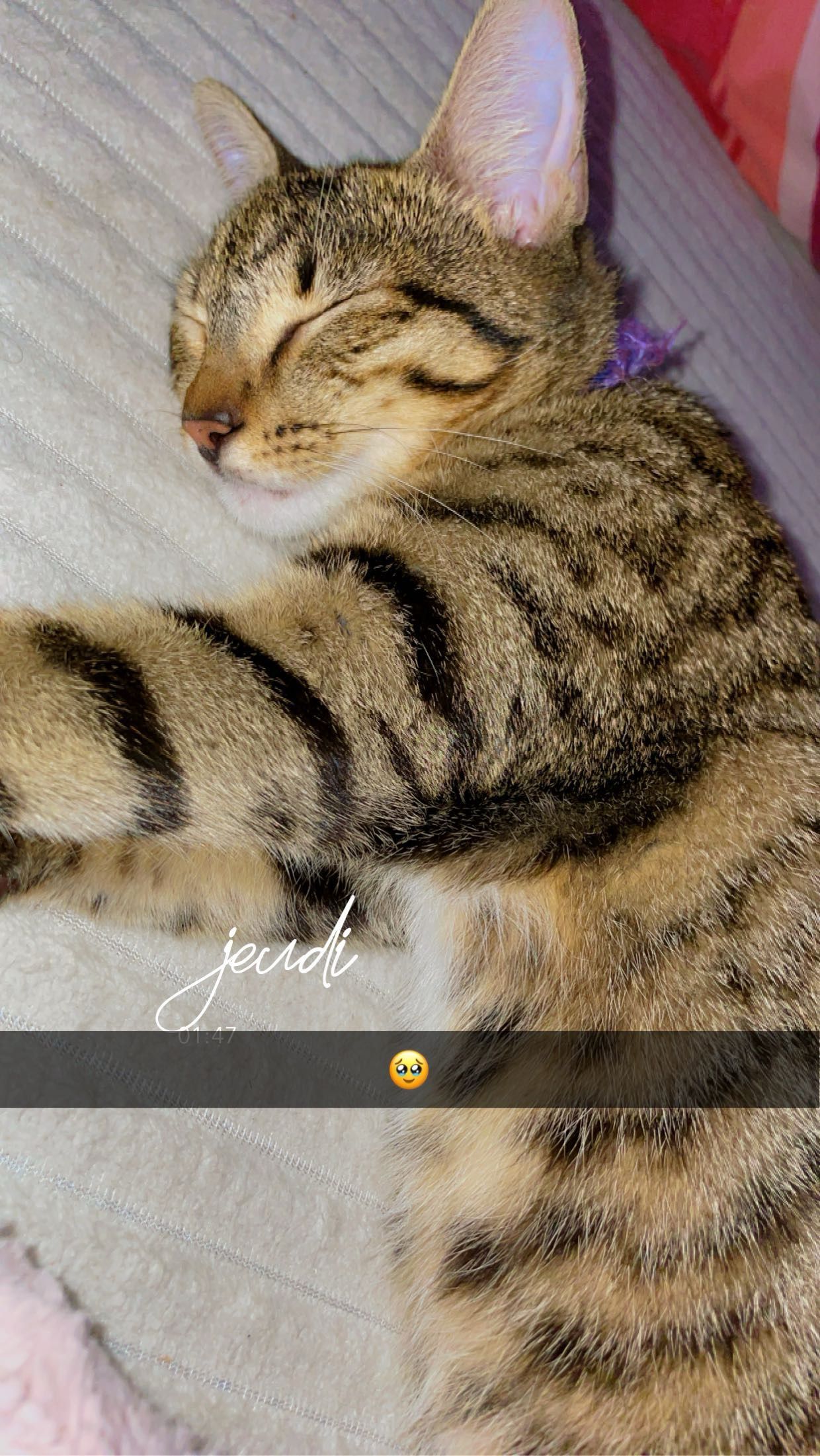 Jeep - Rue des Marchands, Marguerittes