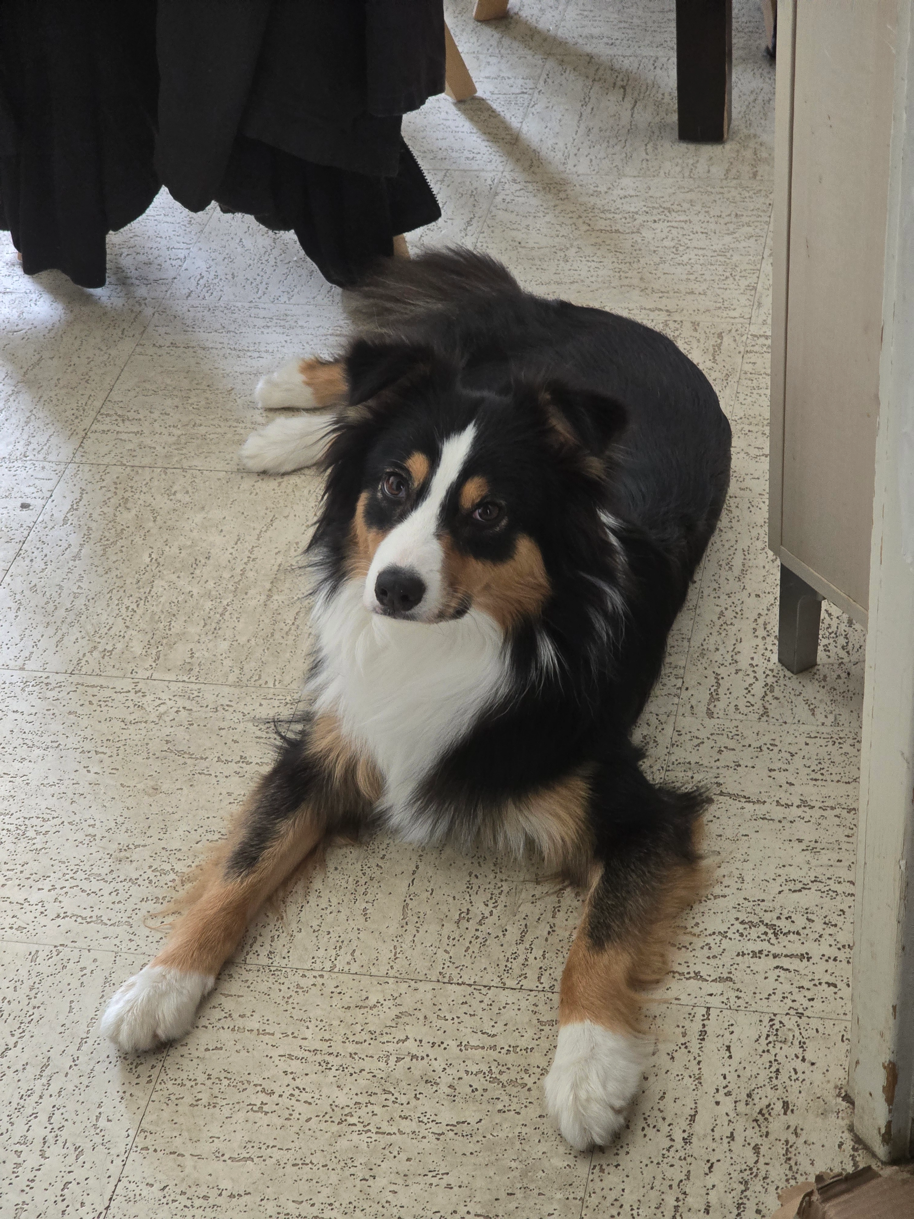 Uma - Rue des Mauges, Sèvremoine, Saint macaire en mauges