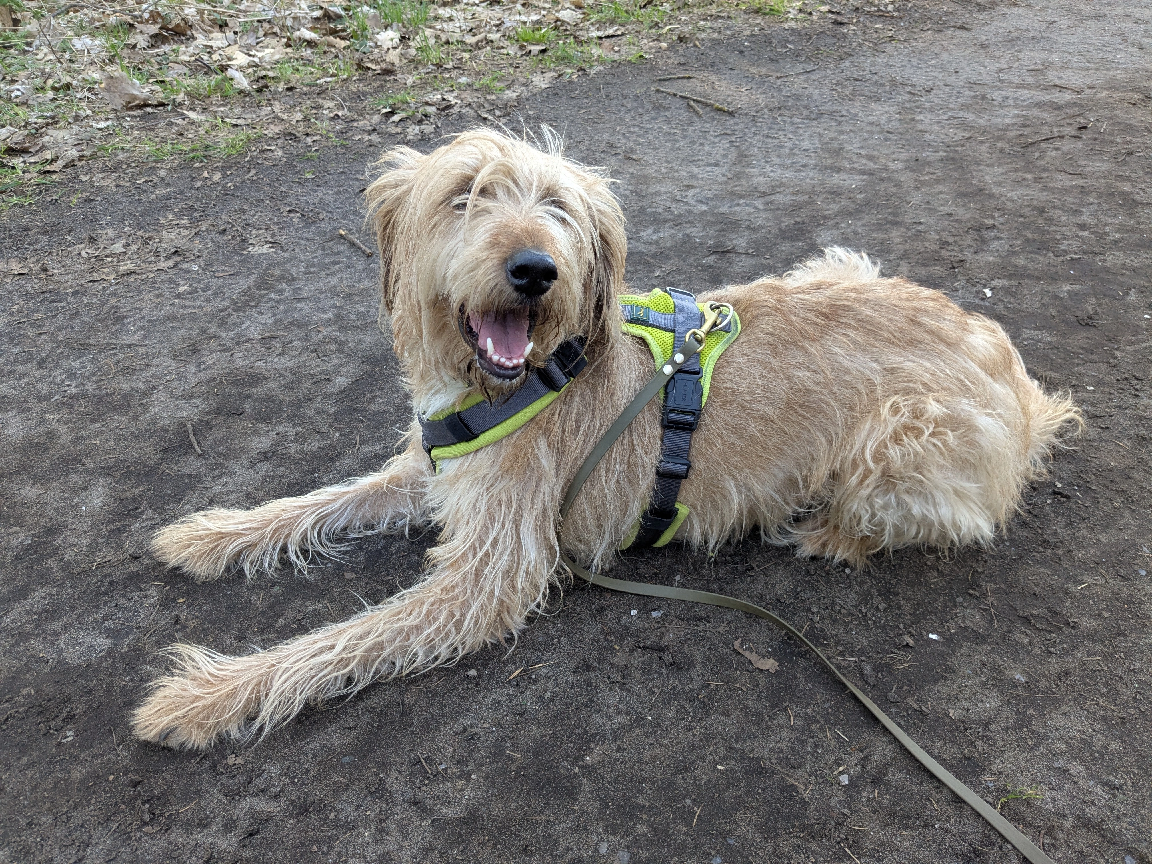 Lilo - Sudetenlandstraße, Neumünster