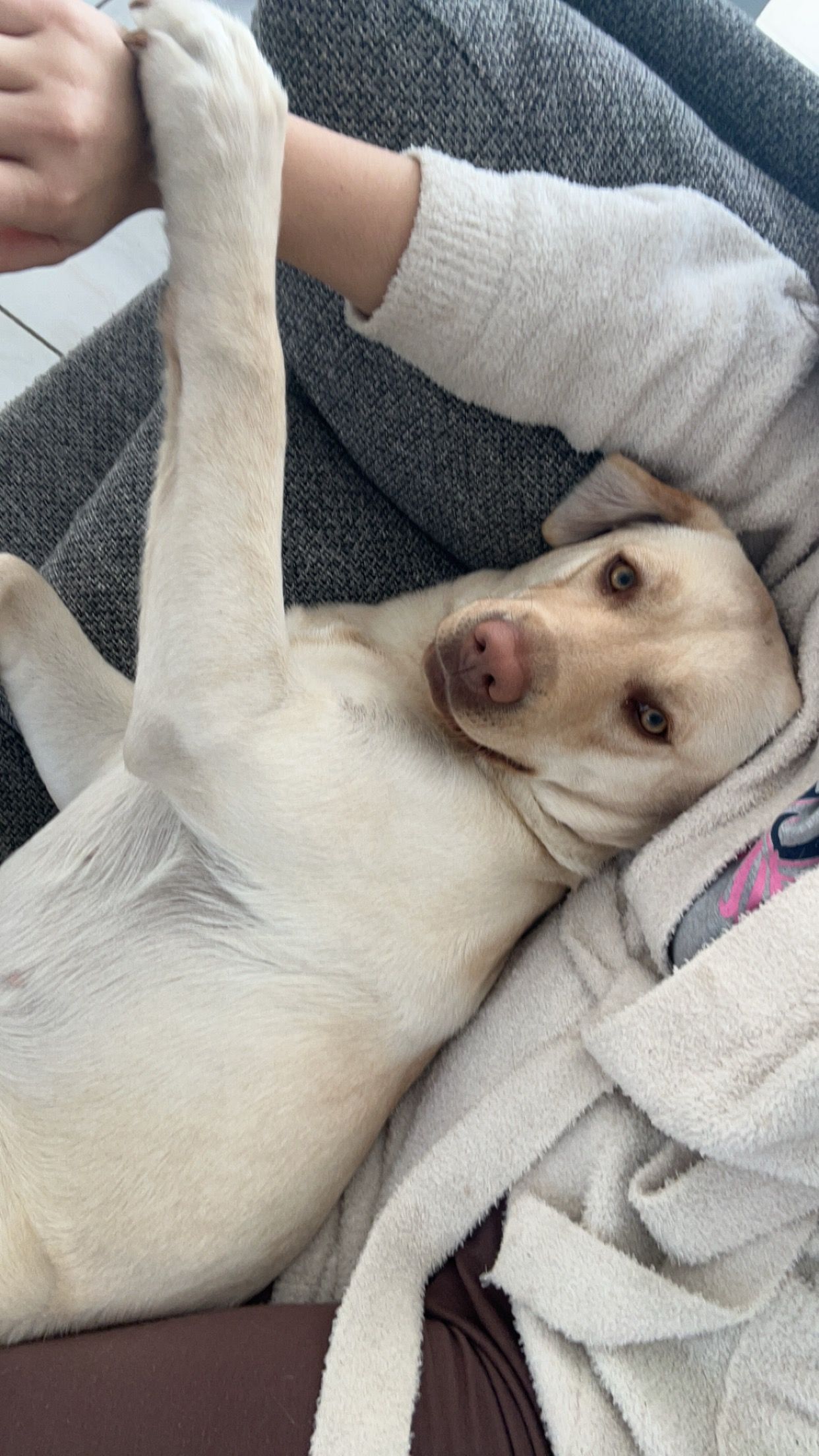 Una - Chemin De Chaumetière, Meylan