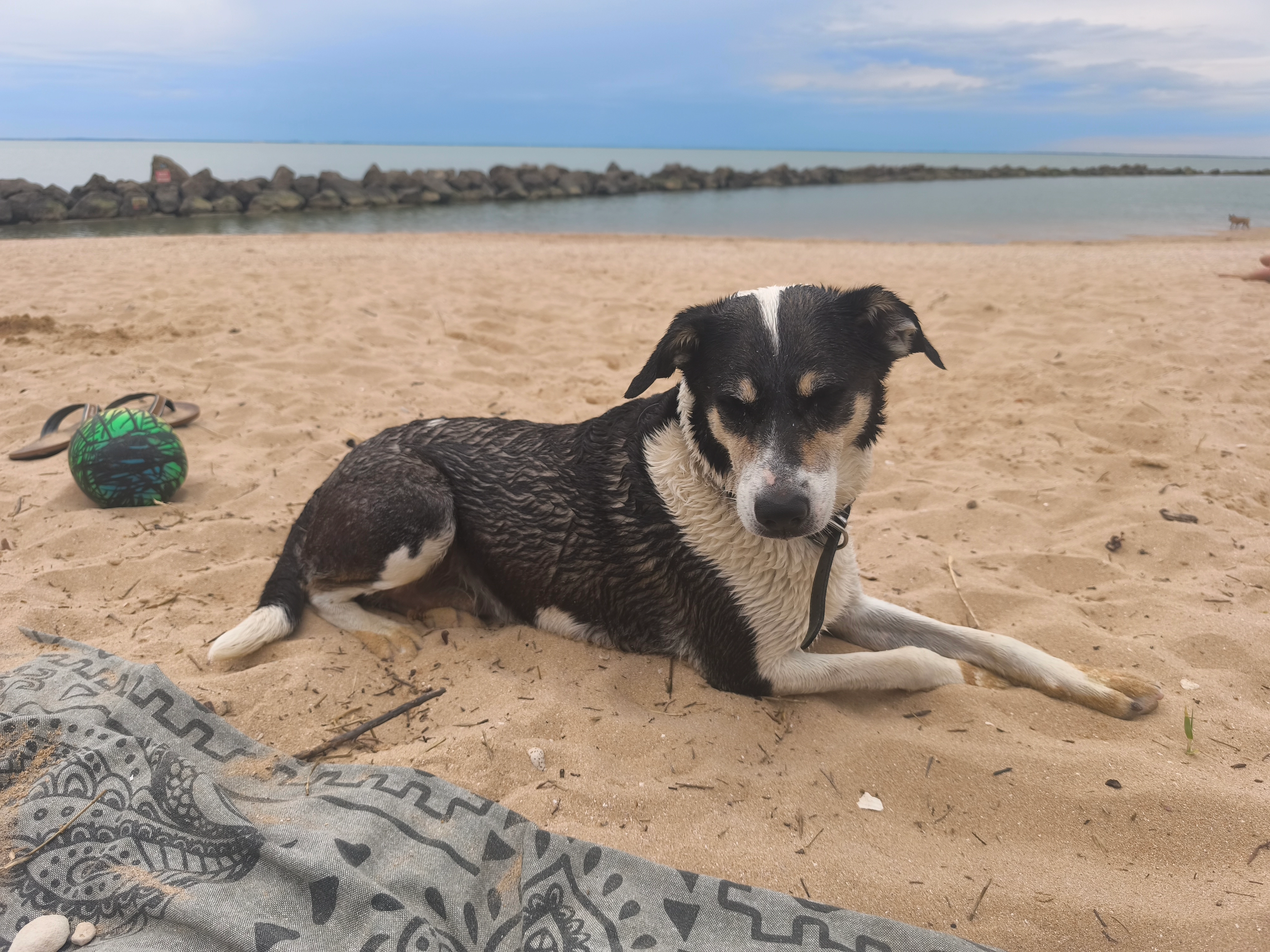 Olyjah  - Rue de Gâtechien, Javrezac