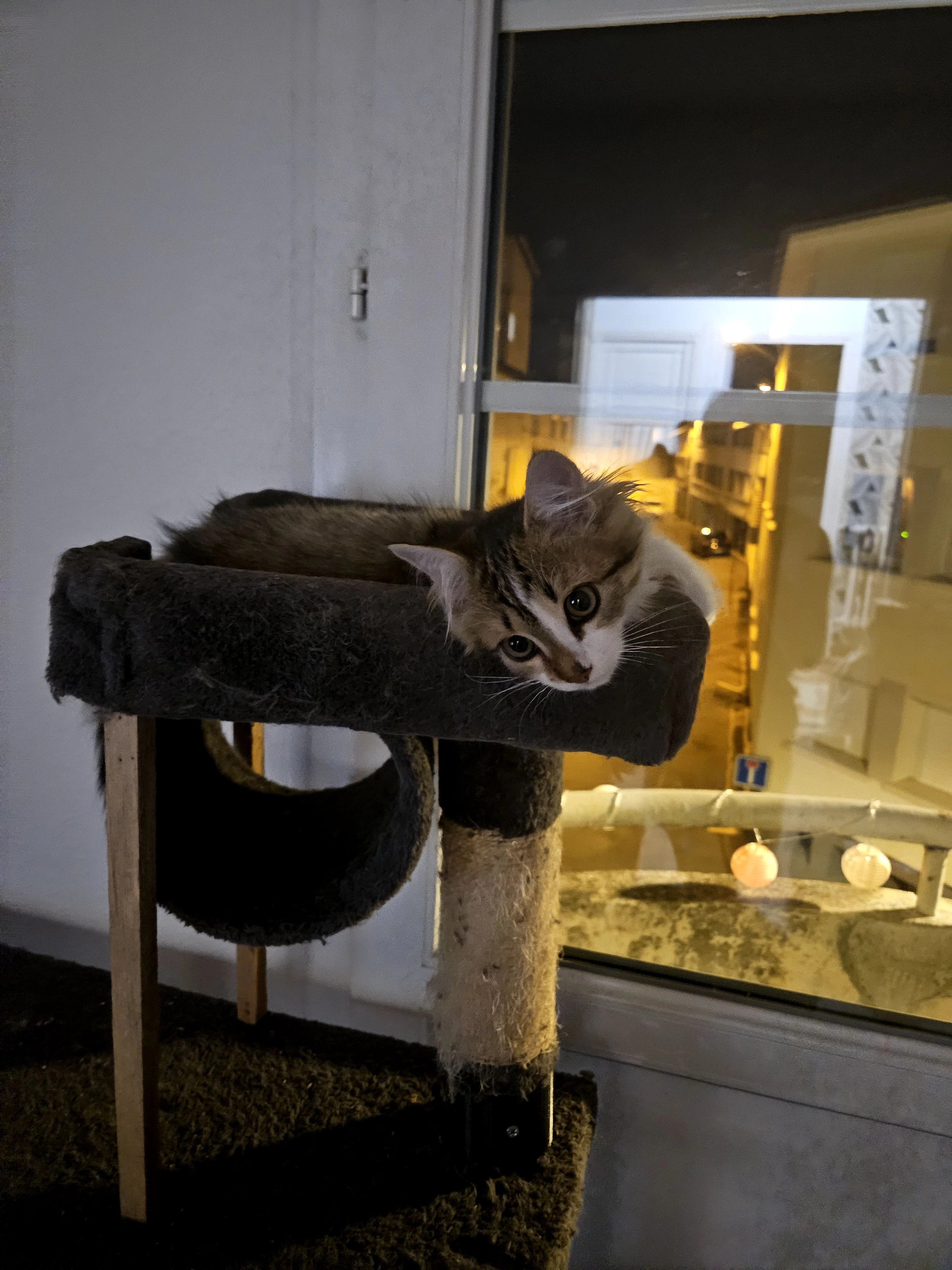 Mira - 7 Rue d'Athènes, Valence