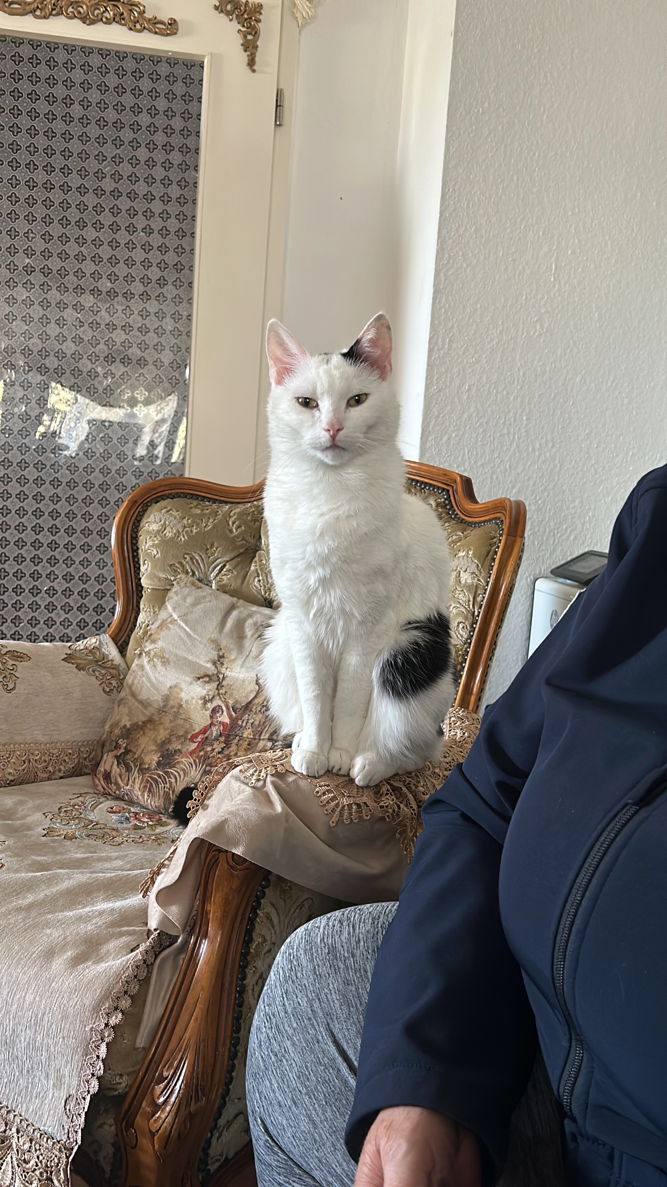 Jack - Bergstraße, Taufkirchen