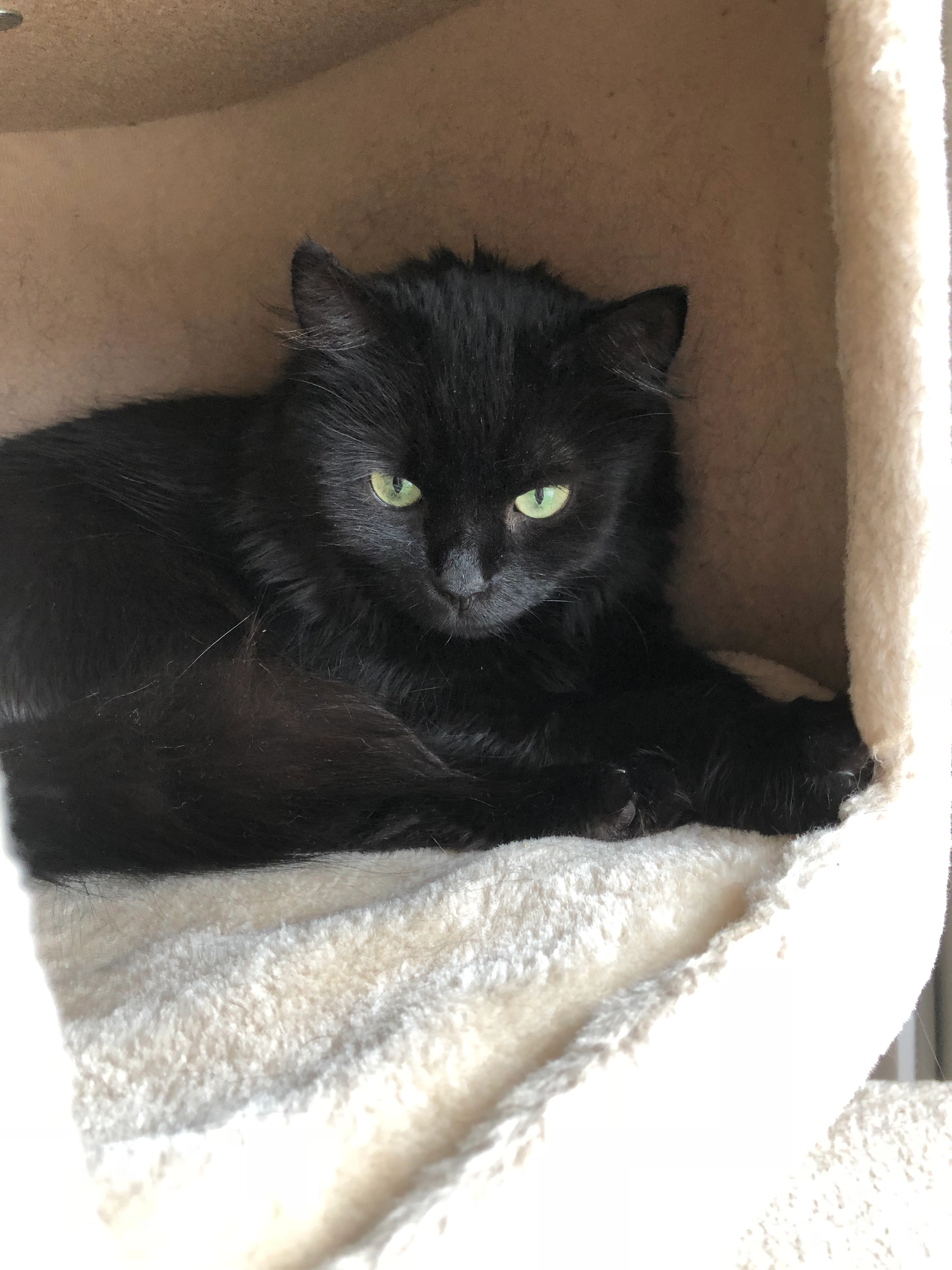 Mali - Am Sassendorfer Wege, Bad Sassendorf