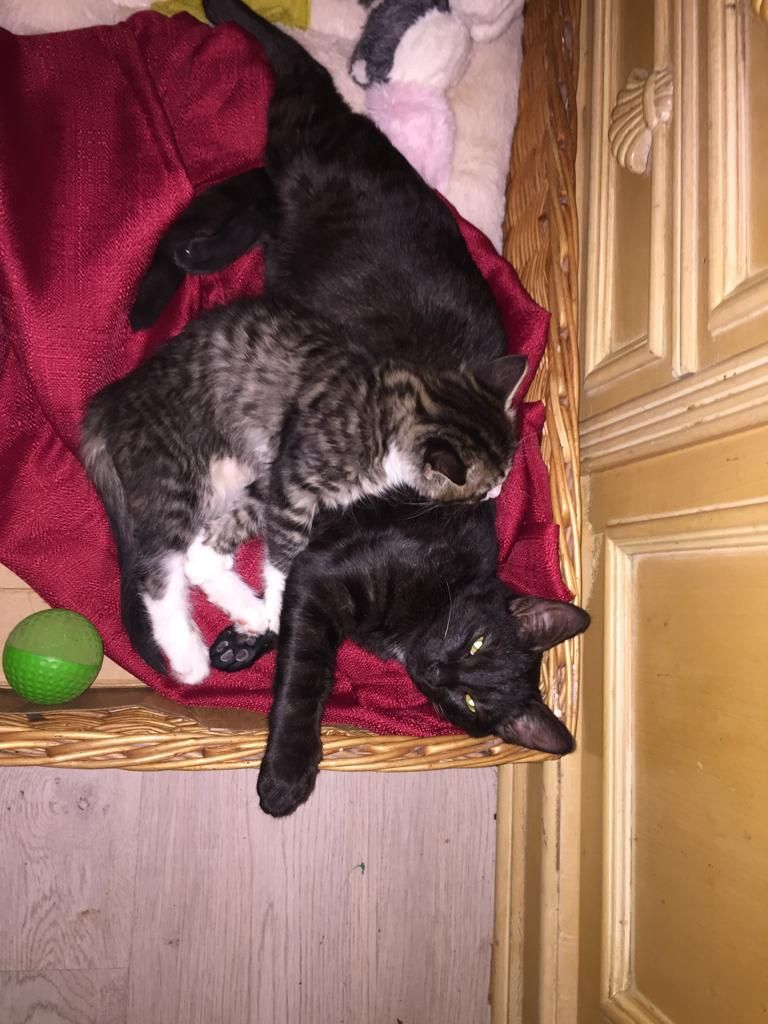 Roky - Rue Pasteur, Menton