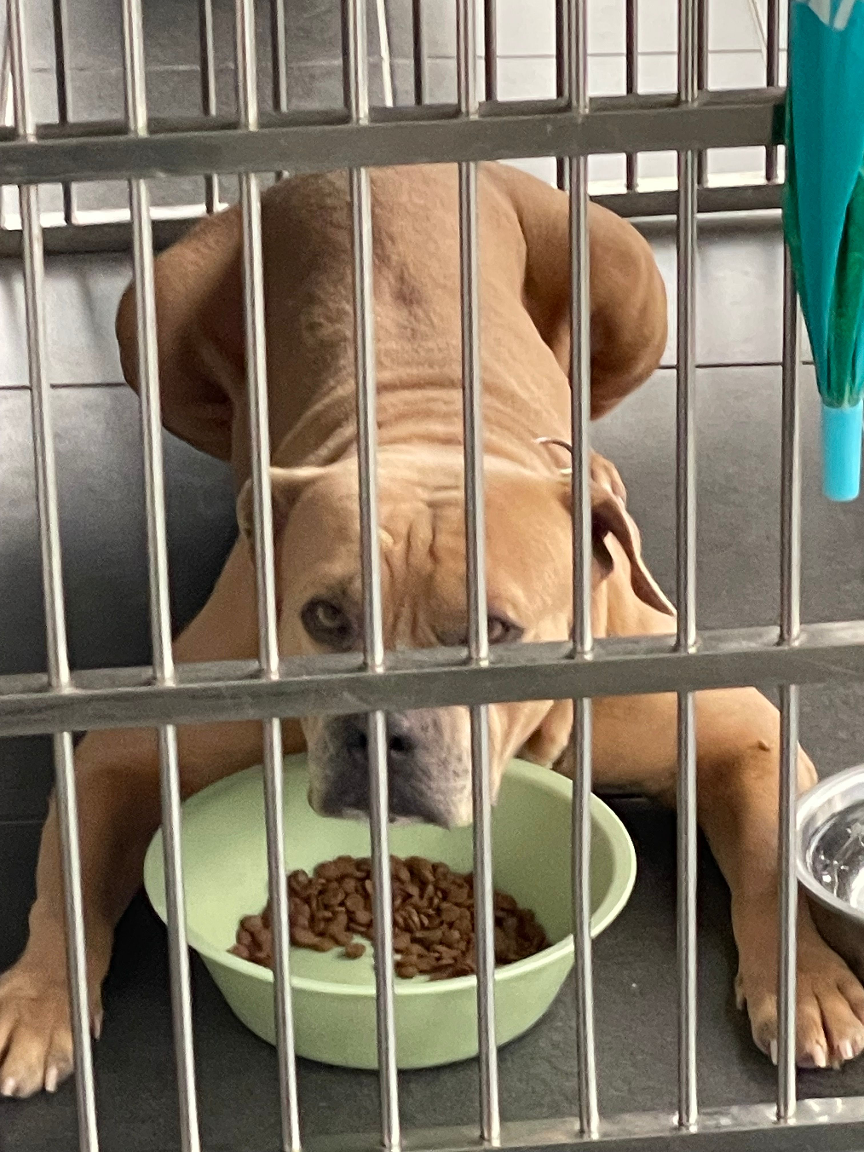 Terry - Jalan Kebun Nenas 8B/KS 8, Klang