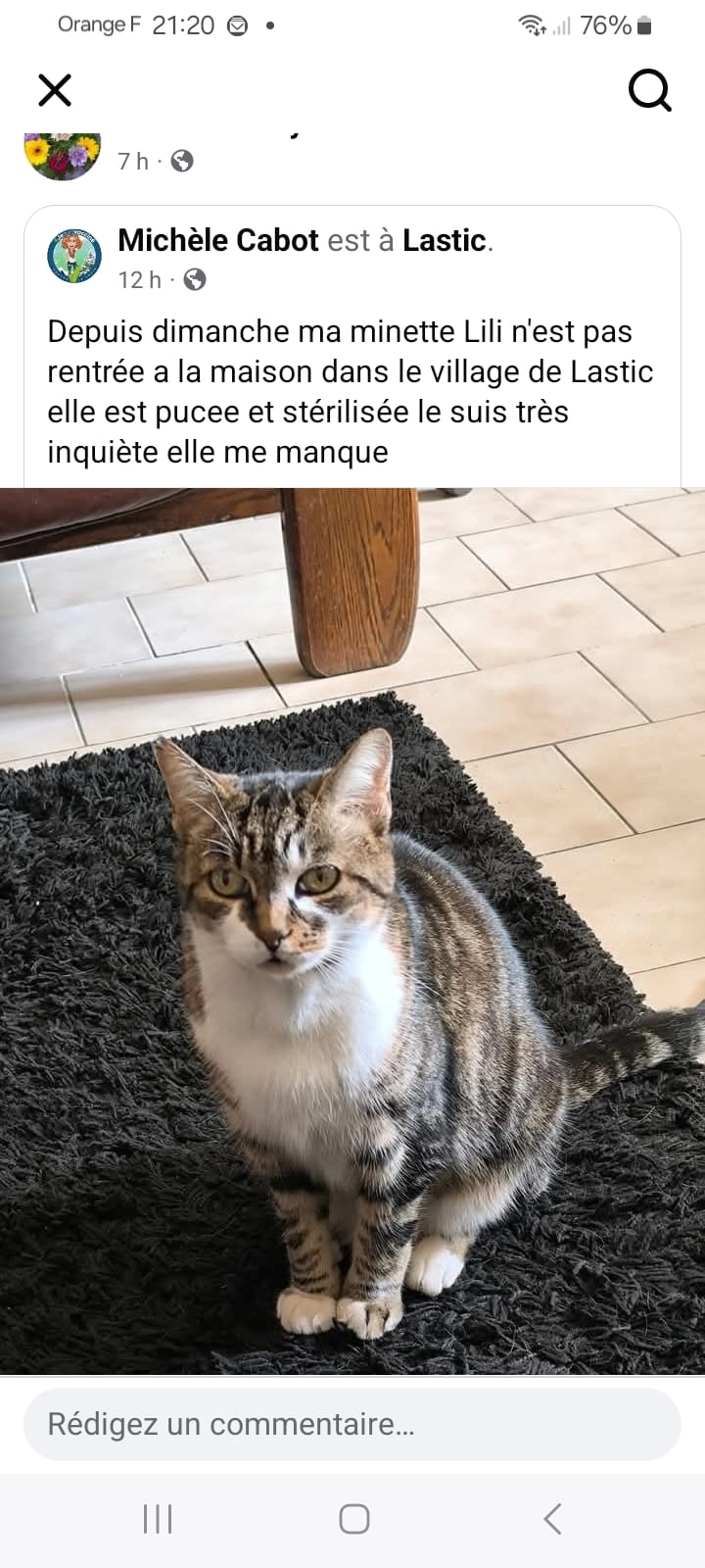 Lili - Rue De La Fontaine, Lastic