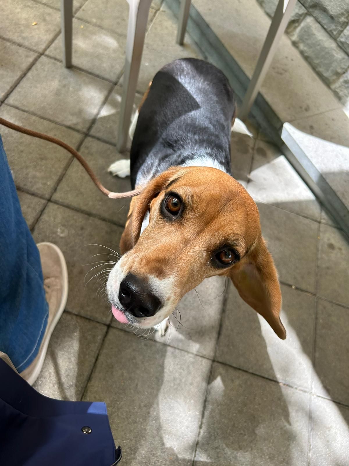 Bella - Steinfelder Mühle, Börßum