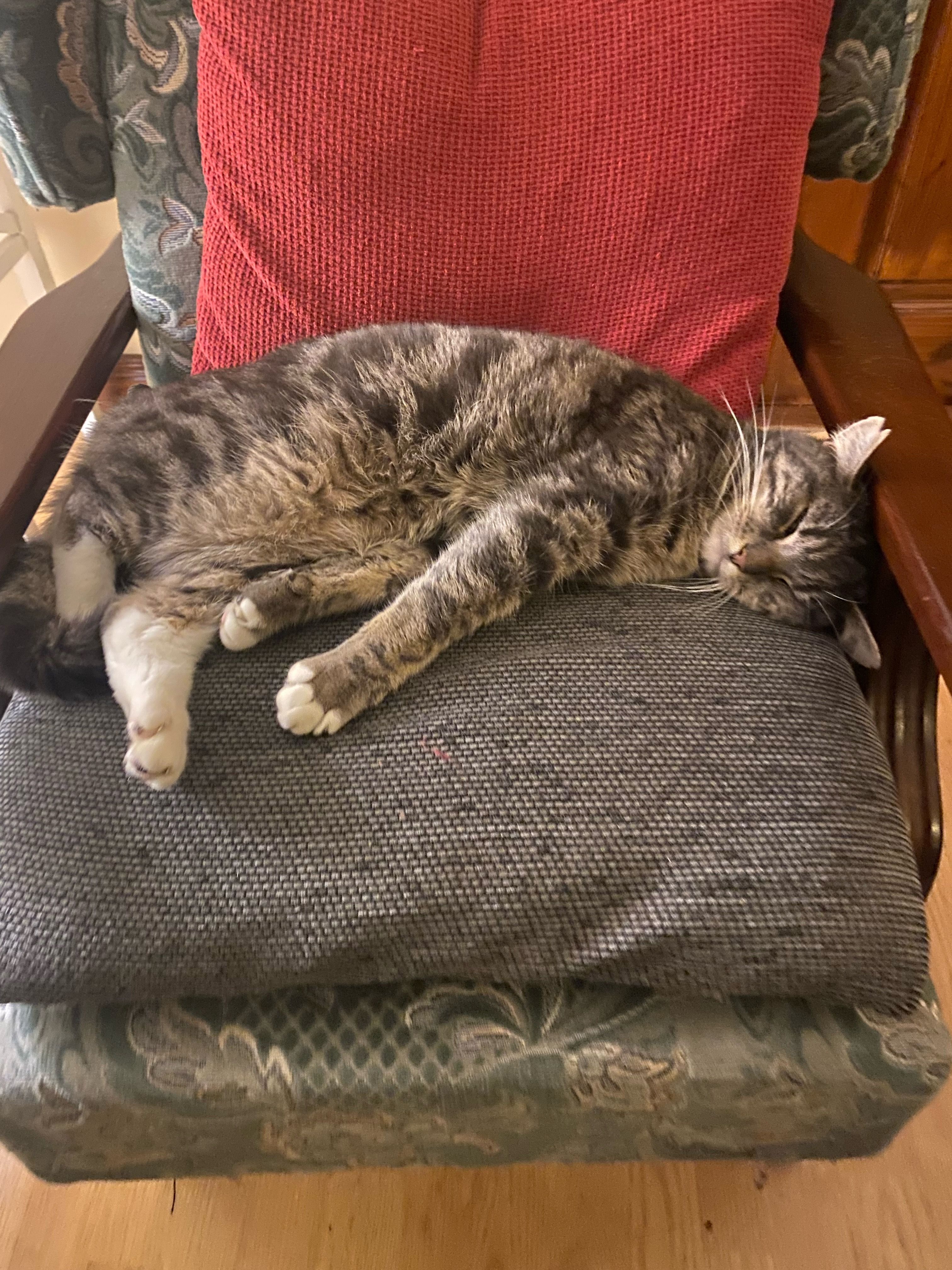 Boots - Carlow Road, Athy