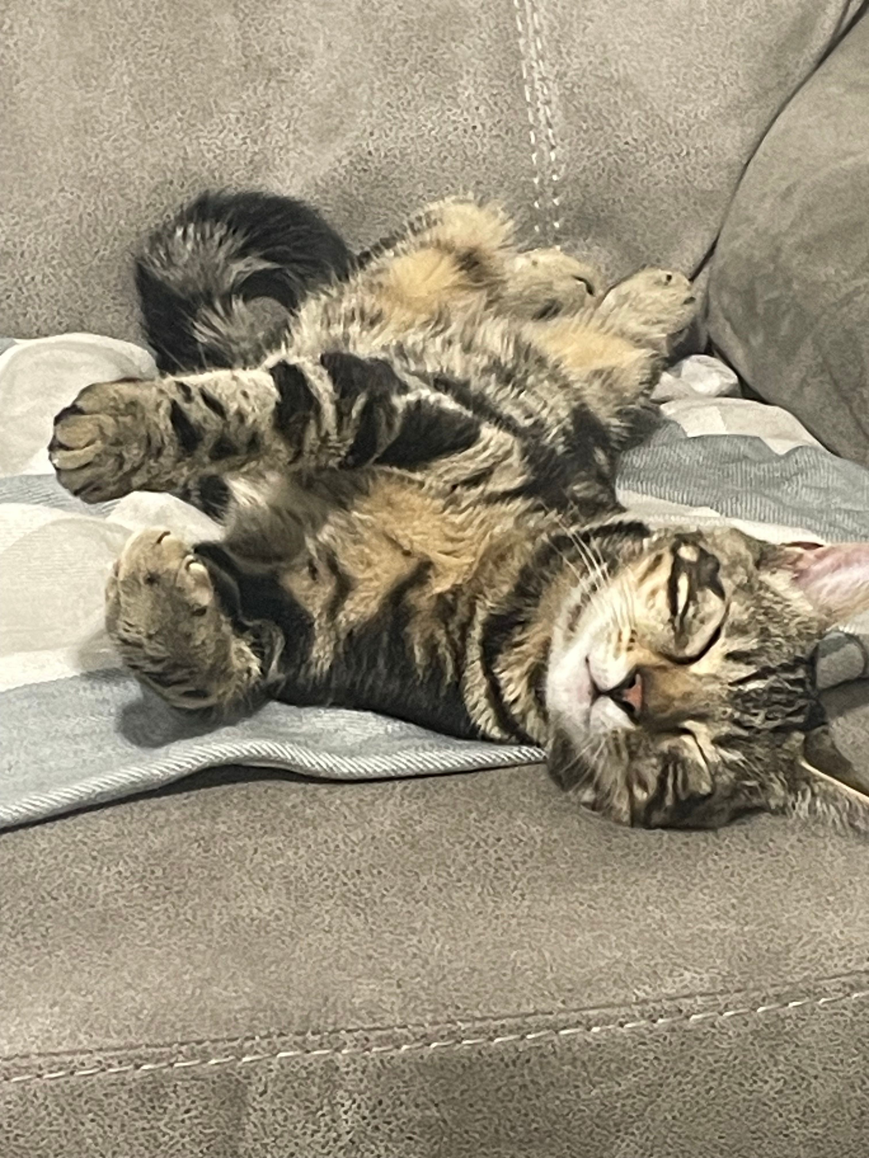 Shadow - Guilford Street, Nelson